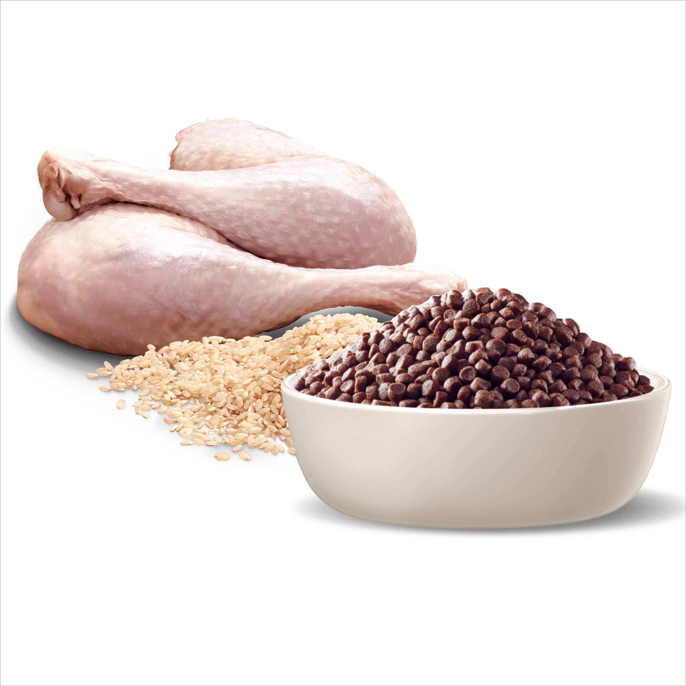 Raw poultry, rice and ADVANCE Puppy Small Breed kibble in a bowl