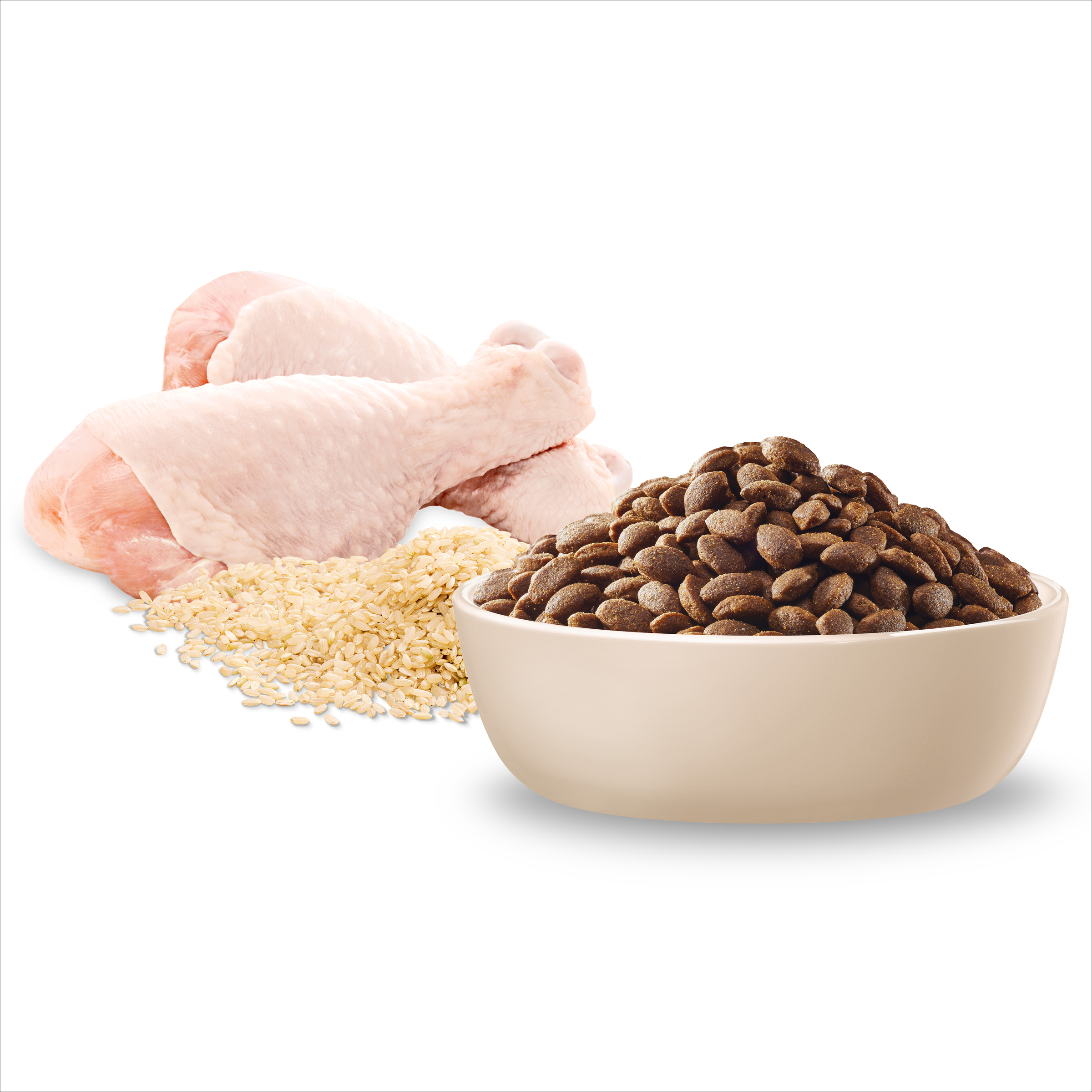 Raw chicken, rice and ADVANCE Puppy Large Breed kibble in a bowl