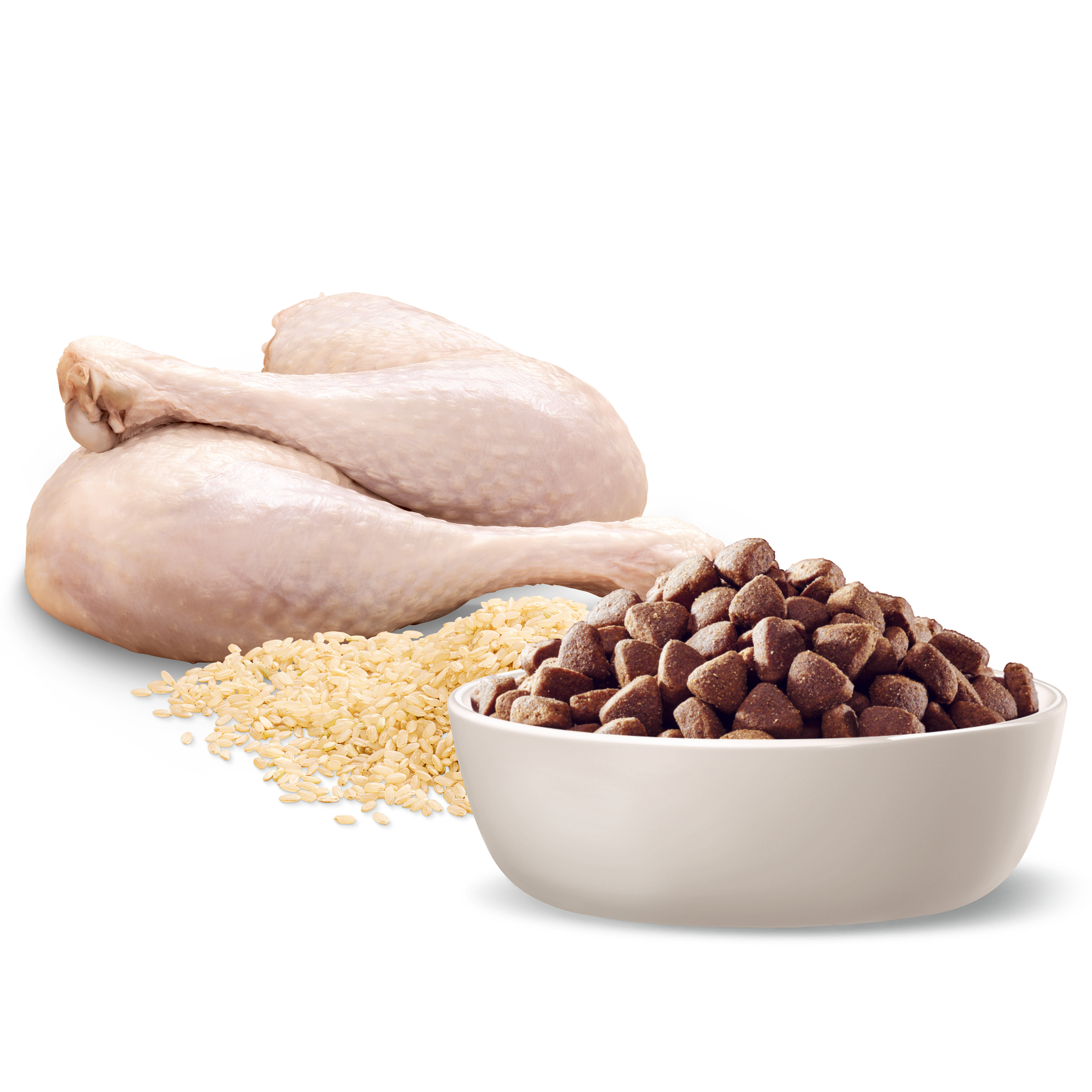 Raw poultry, rice and ADVANCE Adult Medium Breed kibble in a bowl