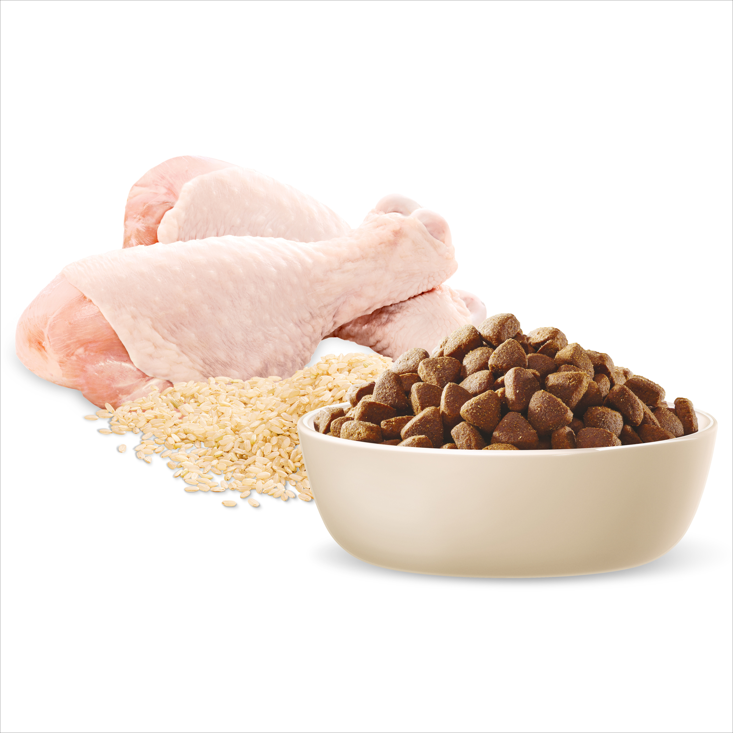 Raw chicken, rice and ADVANCE Active Adult kibble in a bowl