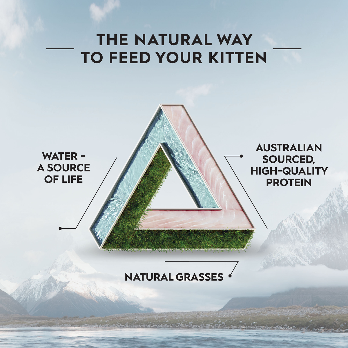 Trilogy the natural way to feed your kitten triangle diagram: water, grasses and Australian protein