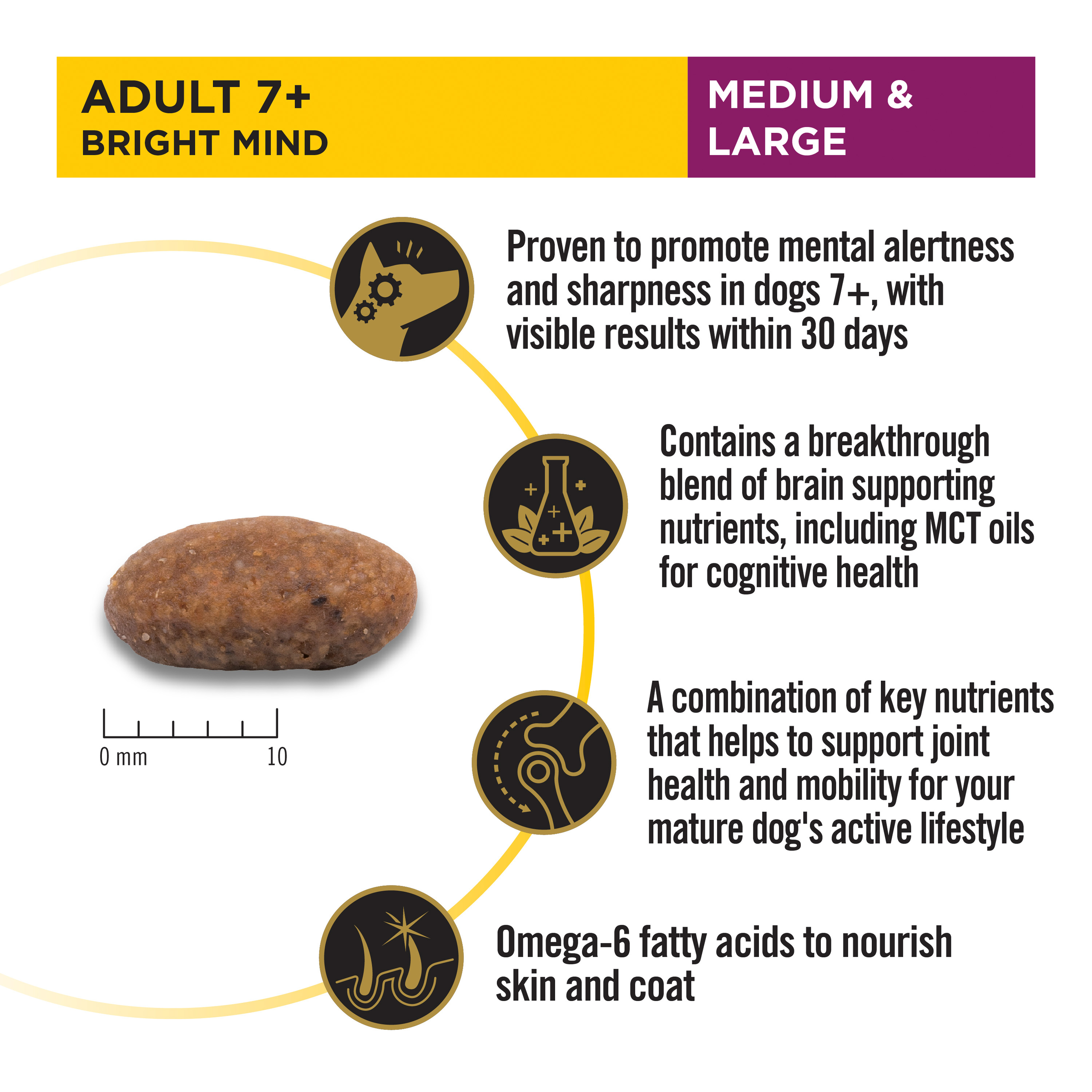 PRO PLAN Adult 7+ Bright Mind panel: kibble size, MCT oils for cognitive health and joint support