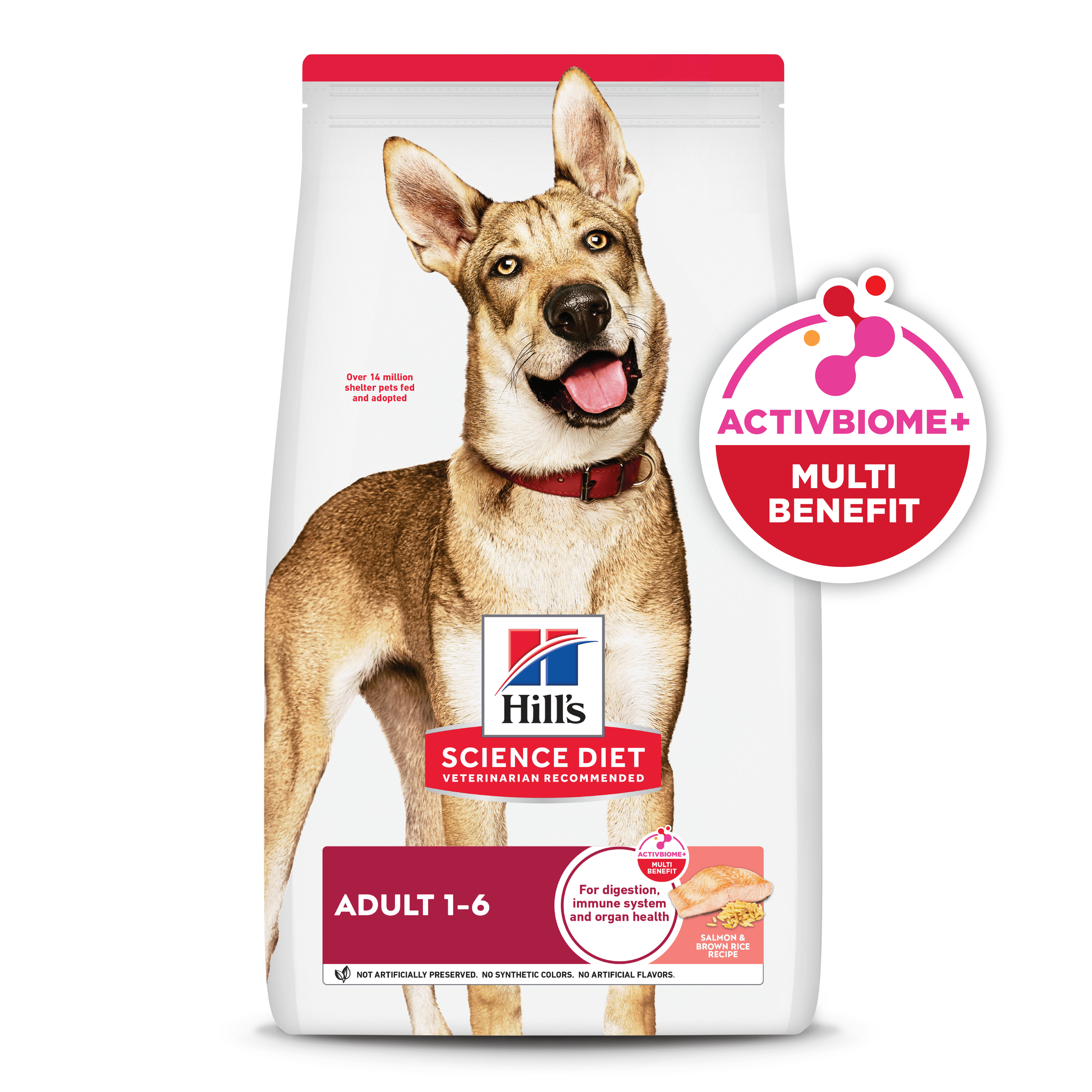 Hill's Science Diet Adult Salmon & Brown Rice Dry Dog Food product detail 1
