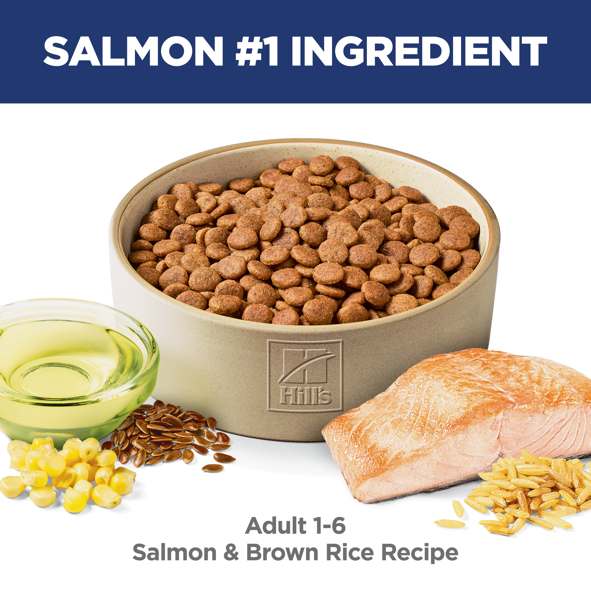 Hill's Science Diet Adult Salmon & Brown Rice Dry Dog Food product detail 4