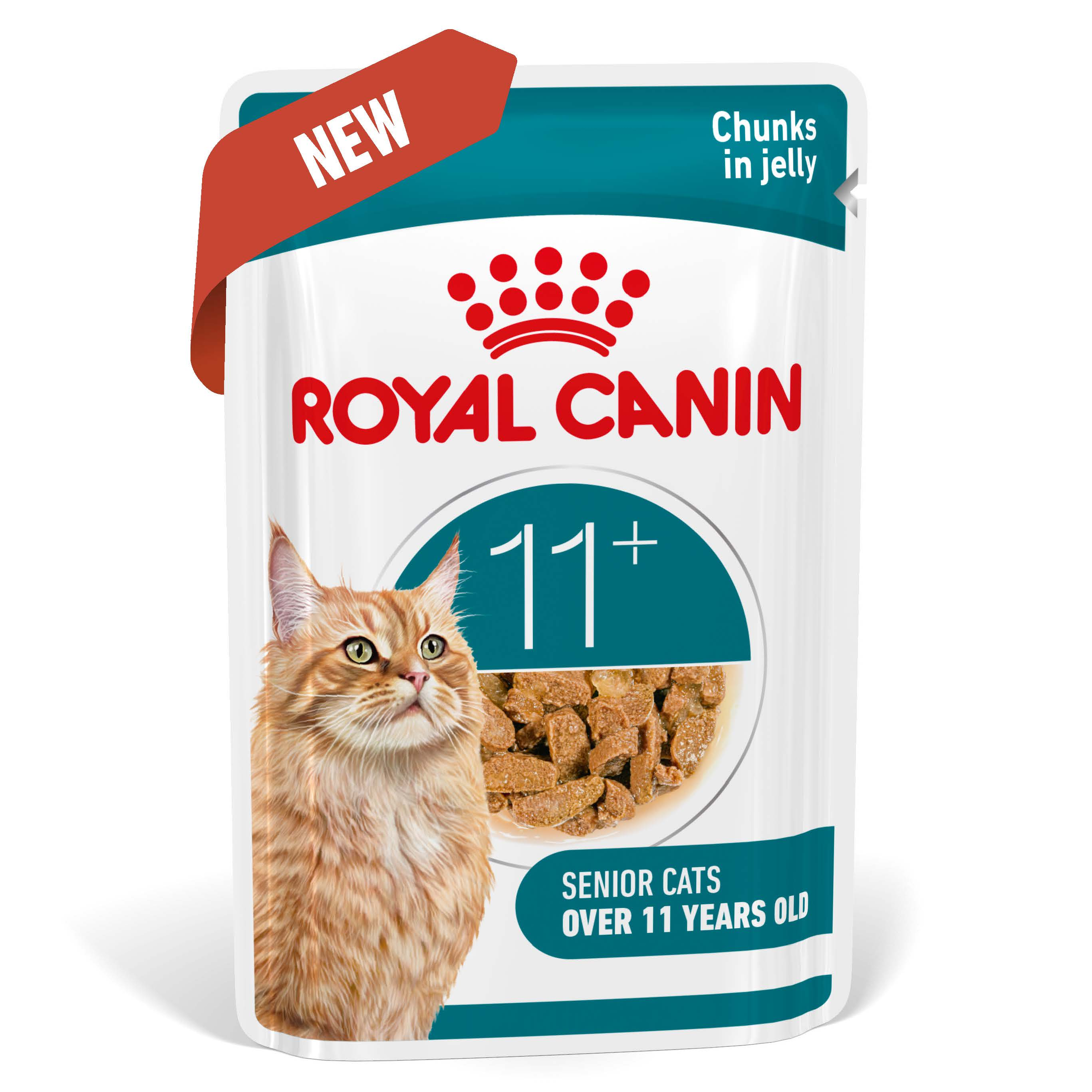 Royal Canin Ageing 11+ Jelly, wet cat food pouches, 12 or 48 x 85g, senior cat