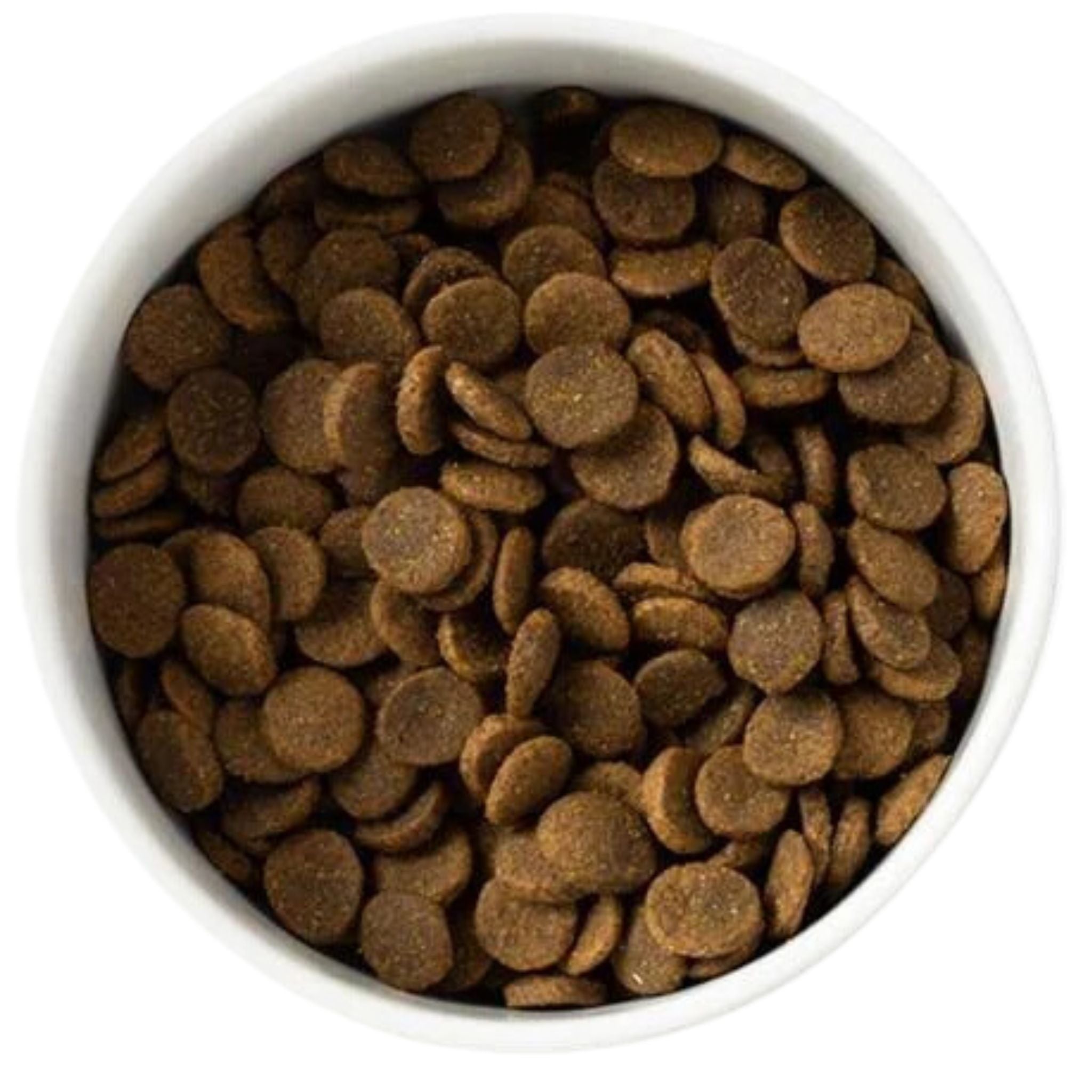 SavourLife Grain Free Care Plus Sensitive Ocean Fish Dry Dog Food