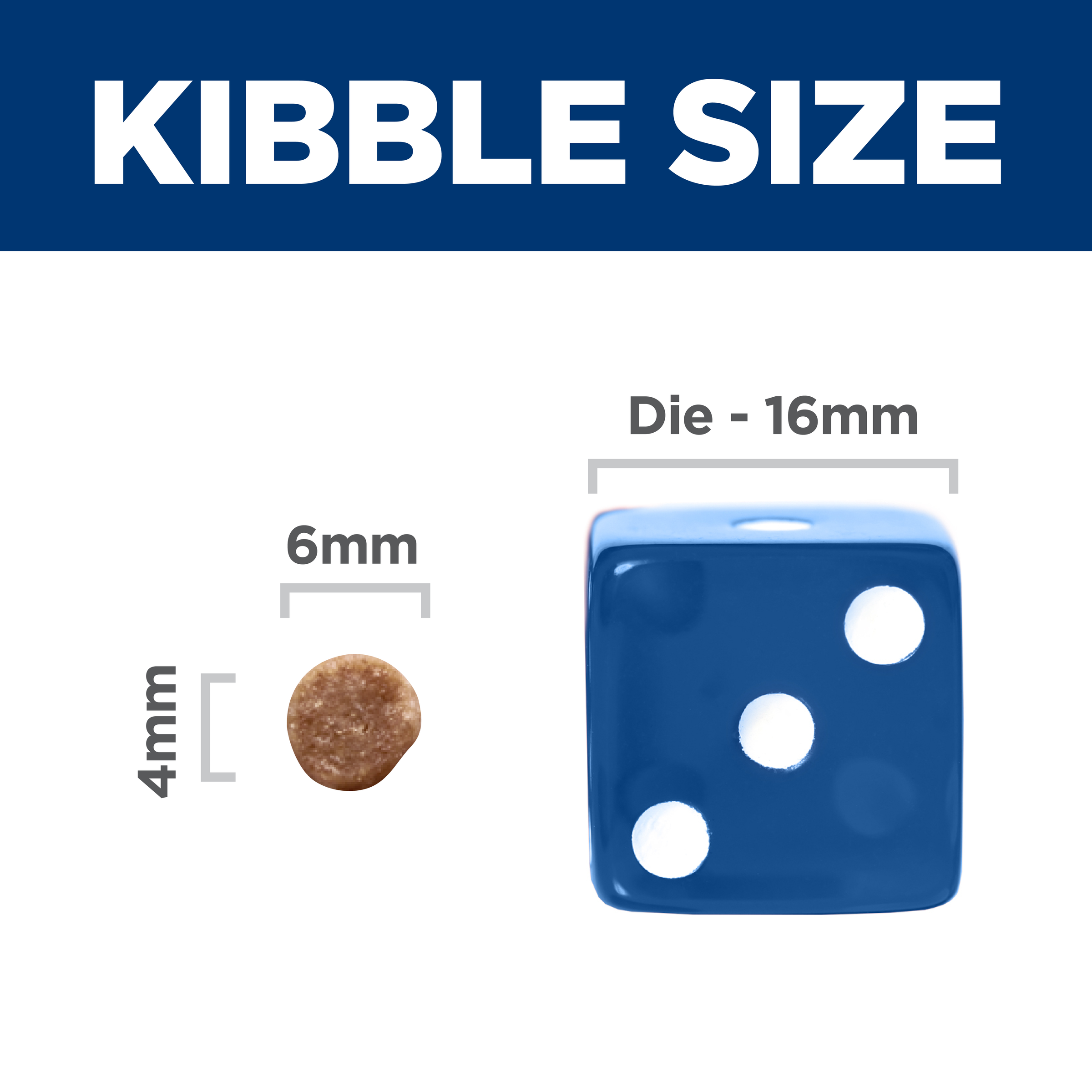 Kibble size comparison: 6mm by 4mm Hill's Science Diet Kitten kibble beside a 16mm dice