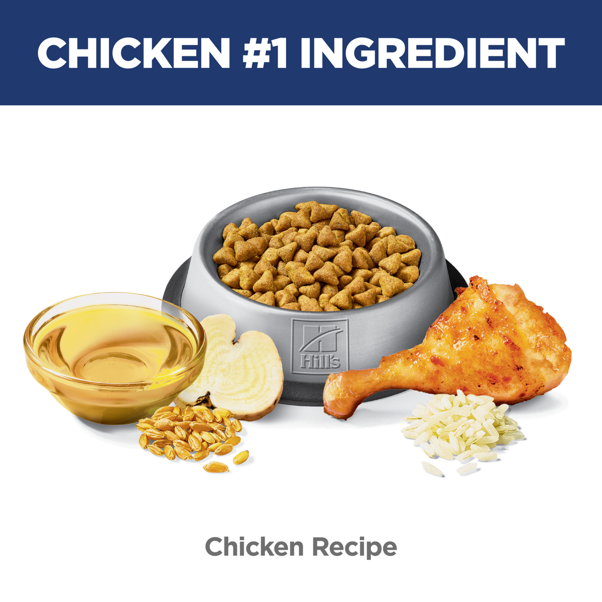 Chicken is the number one ingredient: bowl of Hill's Adult Hairball Control chicken recipe cat kibble