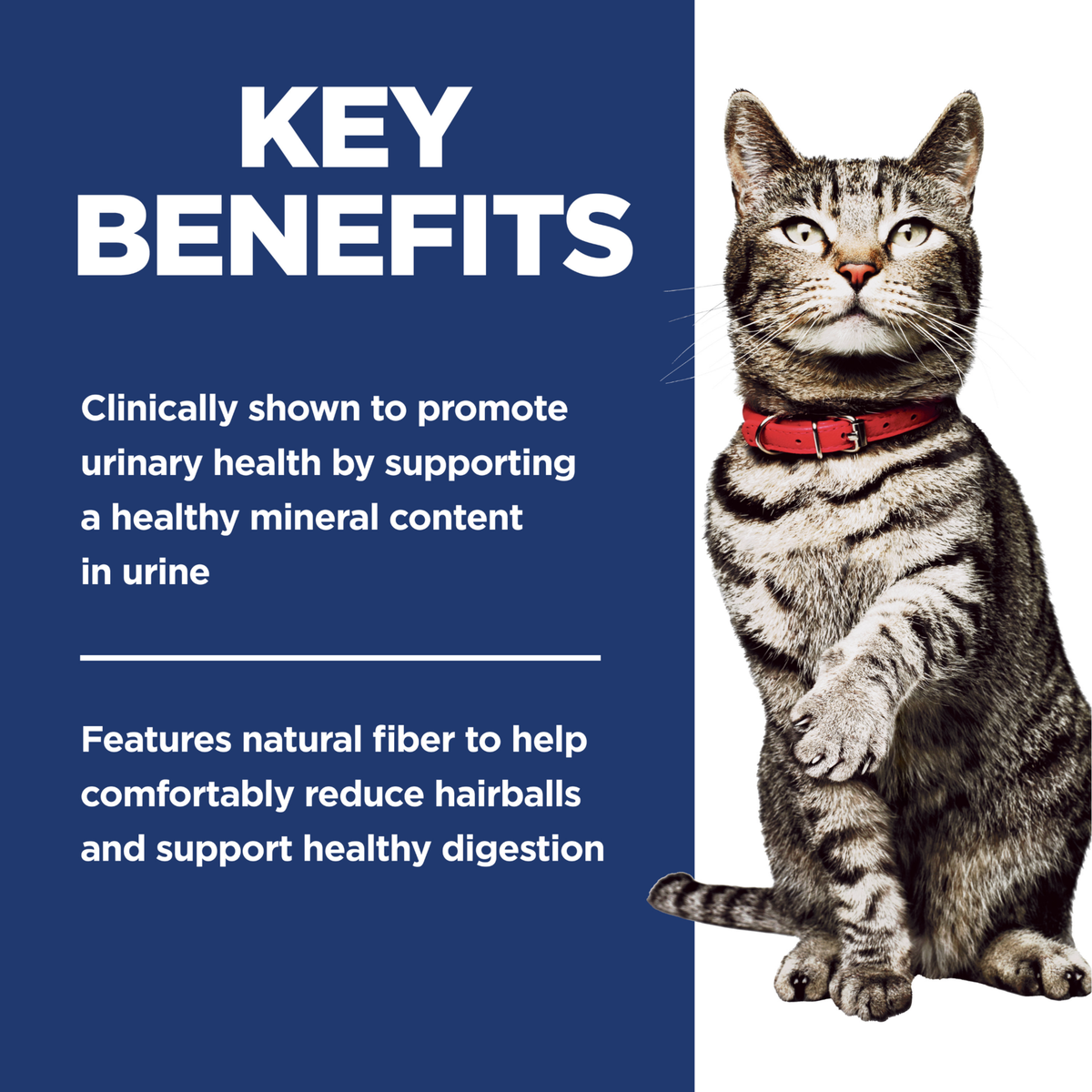 Key benefits panel: supports urinary health through mineral content and natural fibre for hairballs
