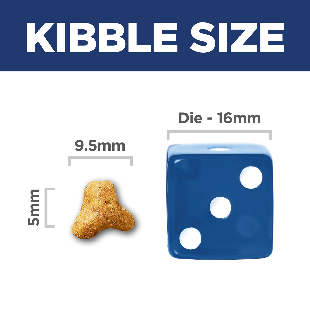 Kibble size comparison: 9.5mm by 5mm Hill's Urinary Hairball Control cat kibble beside a 16mm dice