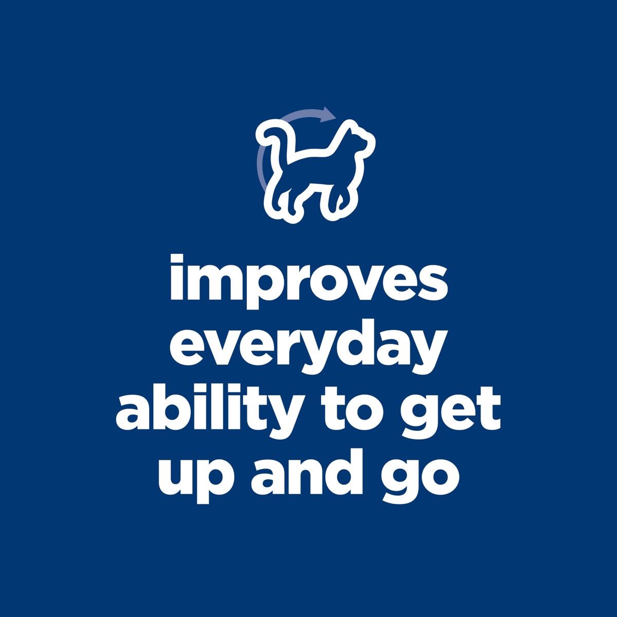 Hill's Senior Vitality graphic: improves everyday ability to get up and go