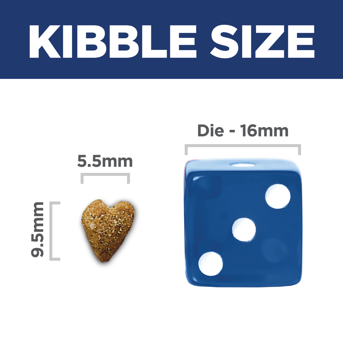Kibble size comparison: 9.5mm by 5.5mm Hill's Perfect Weight cat kibble beside a 16mm dice