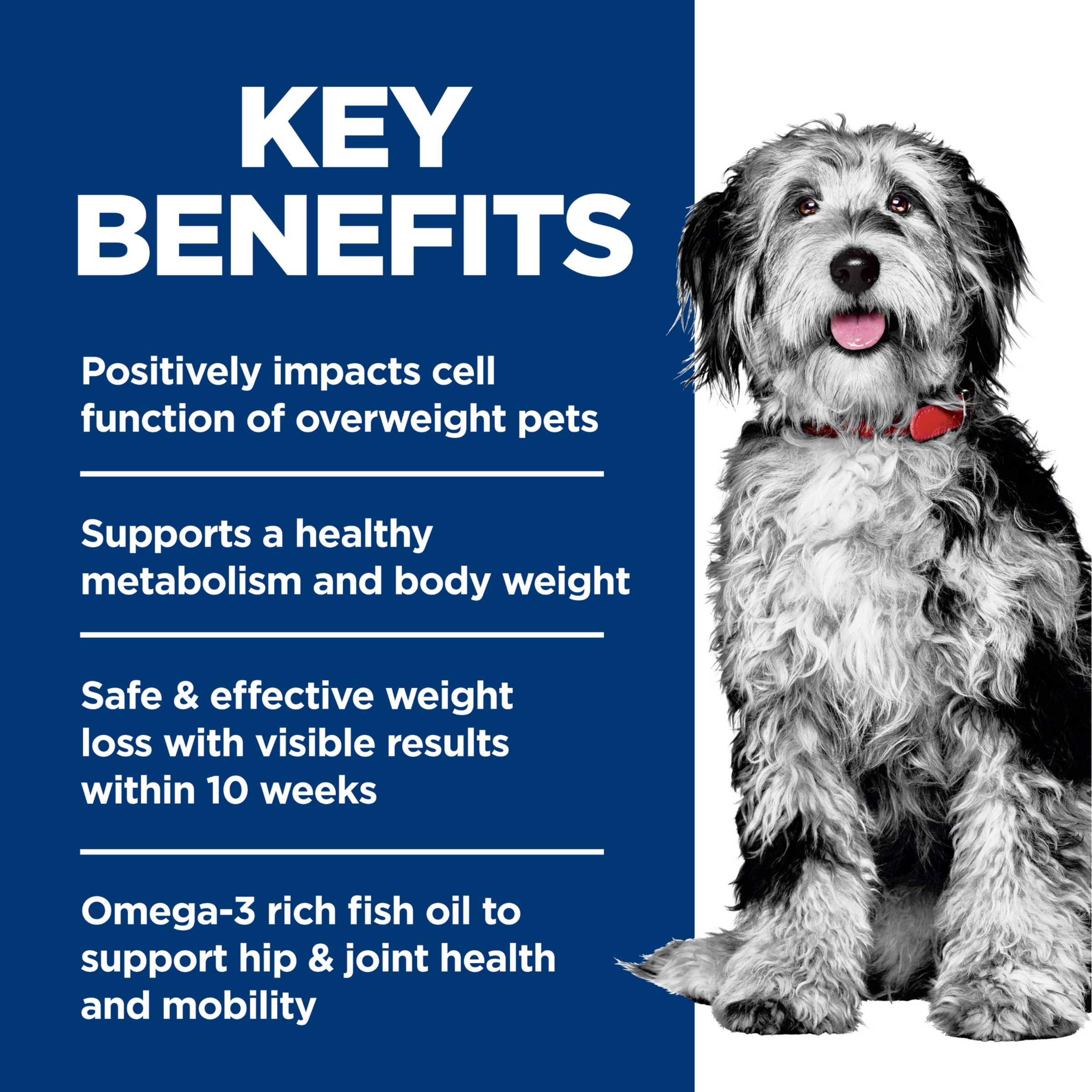 Key benefits panel: healthy metabolism, weight loss in 10 weeks and omega-3 for hip and joint health