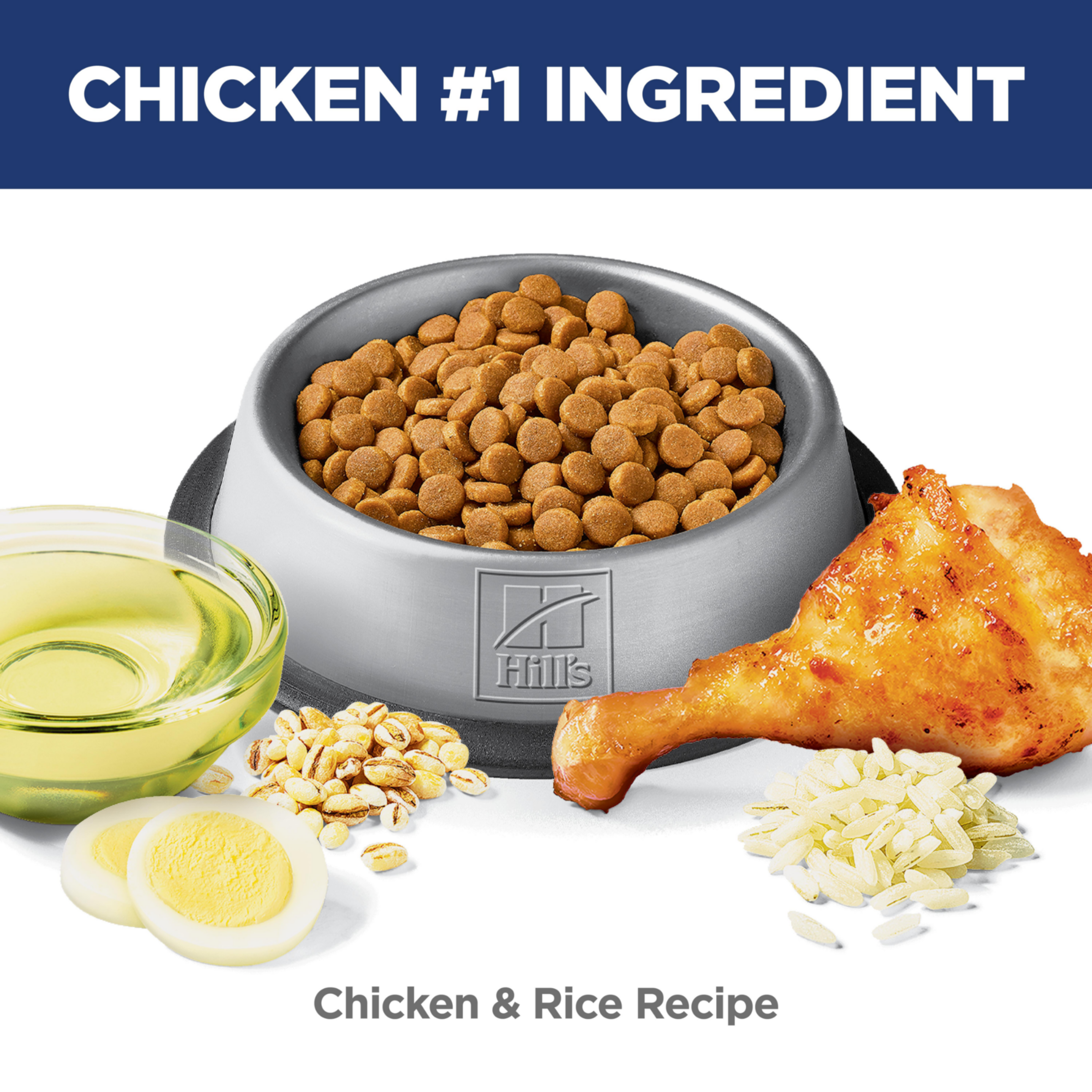 Chicken is the number one ingredient: bowl of Hill's Sensitive Stomach and Skin chicken and rice kibble