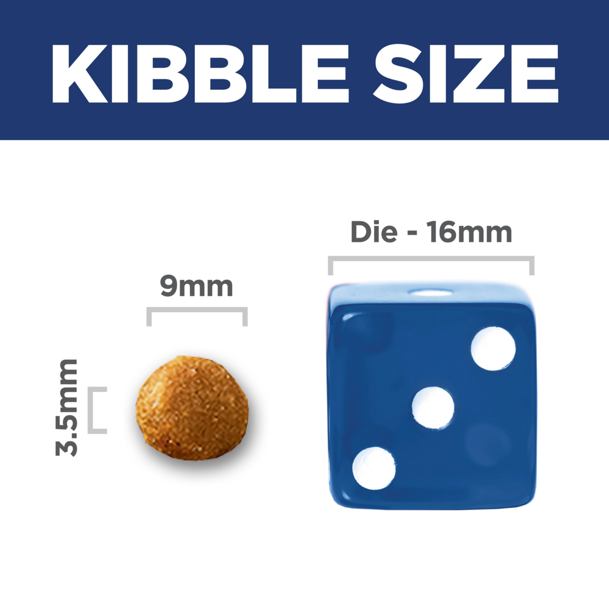 Kibble size comparison: 9mm by 3.5mm Hill's Sensitive Stomach and Skin cat kibble beside a 16mm dice