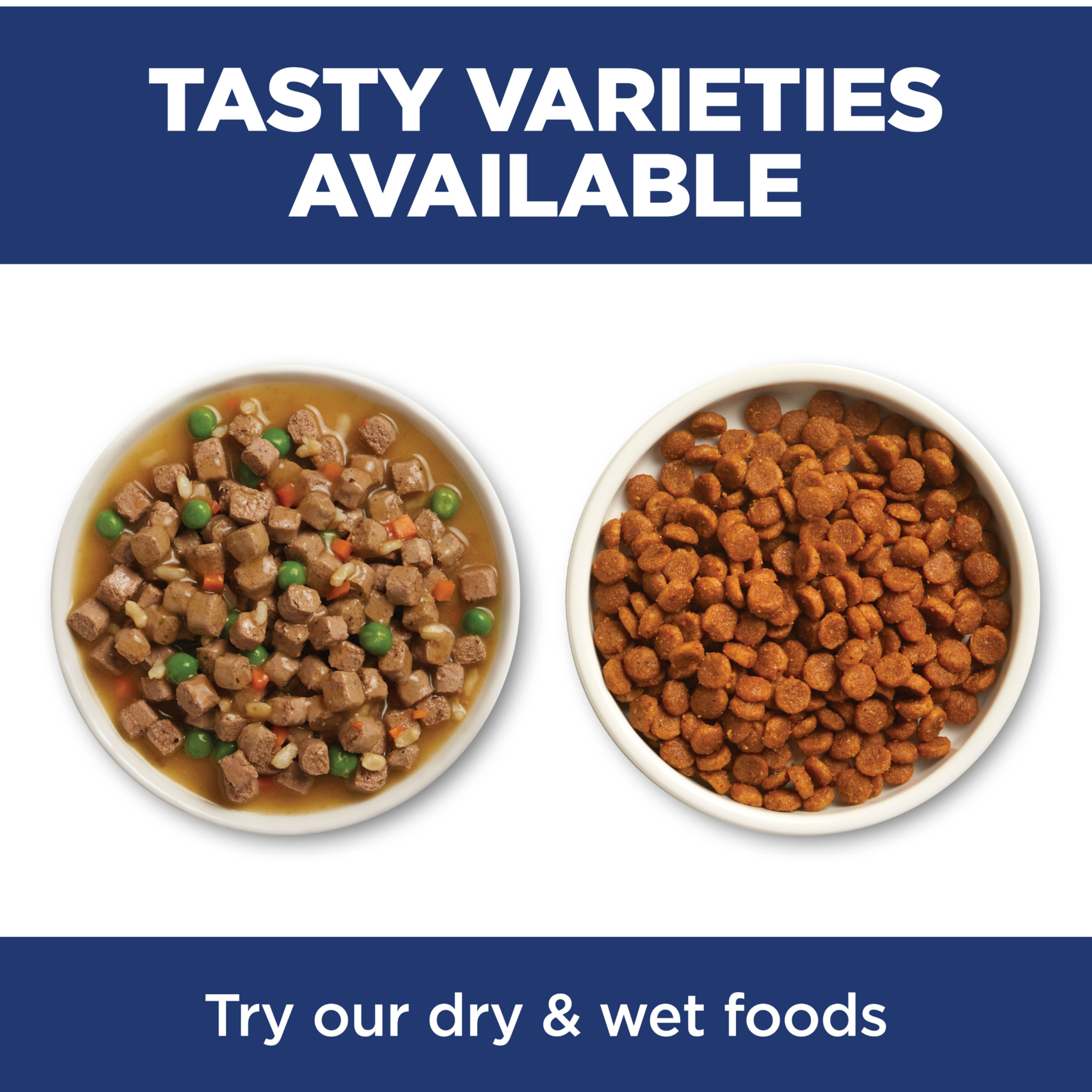 Tasty varieties available: bowls of Hill's Science Diet wet and dry cat food side by side