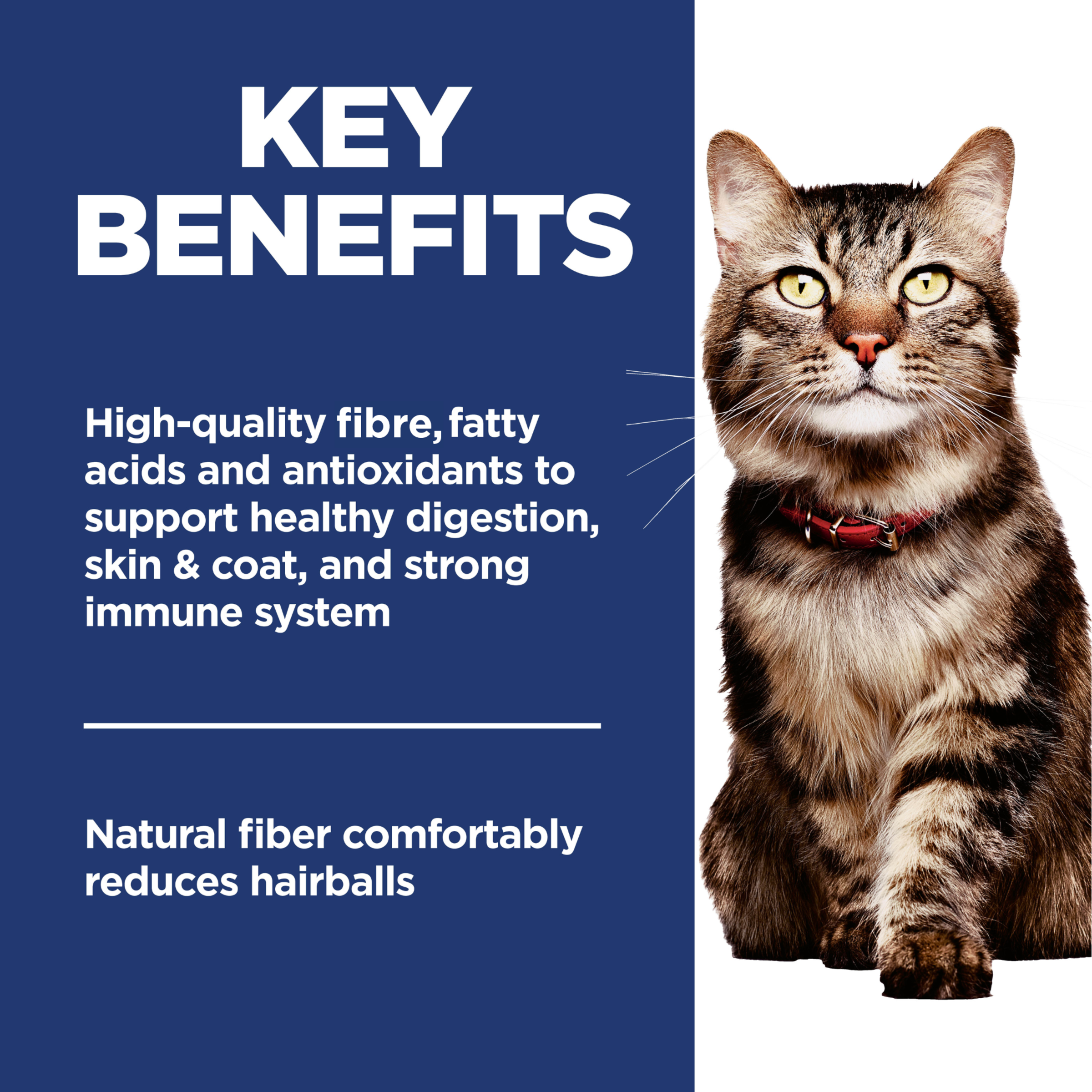 Key benefits panel: fibre, fatty acids and antioxidants for digestion, skin, coat and fewer hairballs