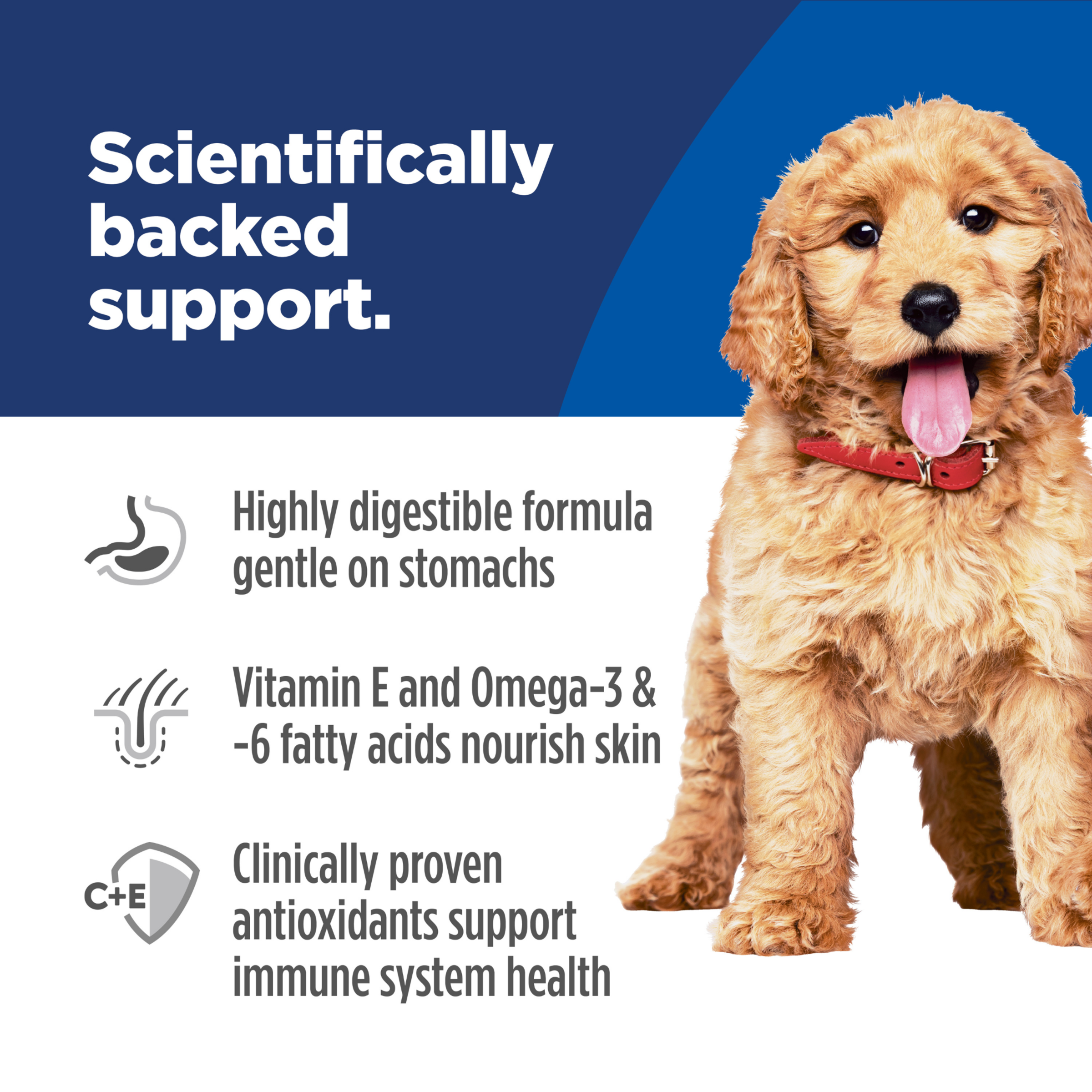 Scientifically backed support: digestible formula, vitamin E and omega fatty acids, antioxidants
