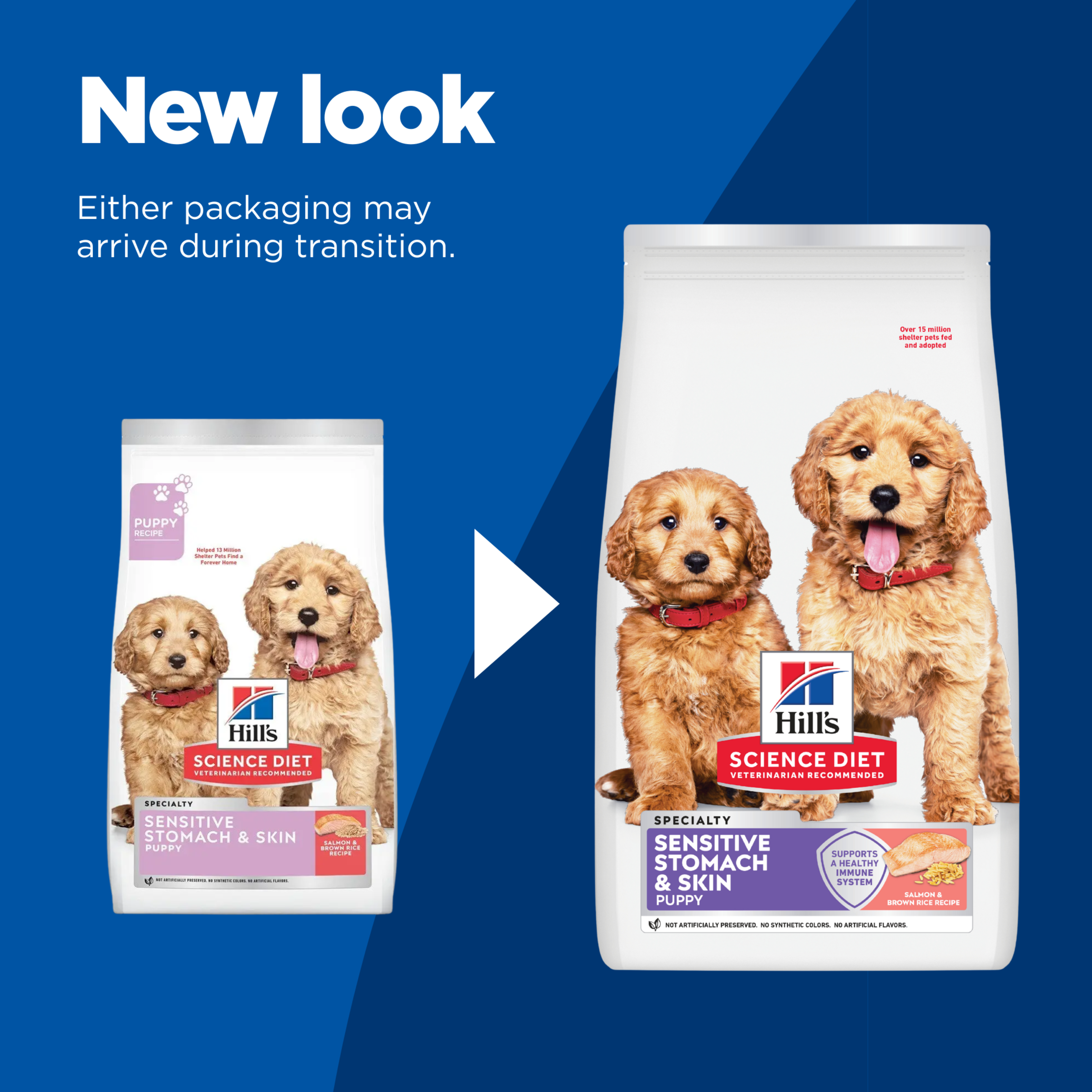 Hill's Science Diet Puppy Sensitive Stomach & Skin Salmon & Brown Rice Dry Dog Food product detail 1