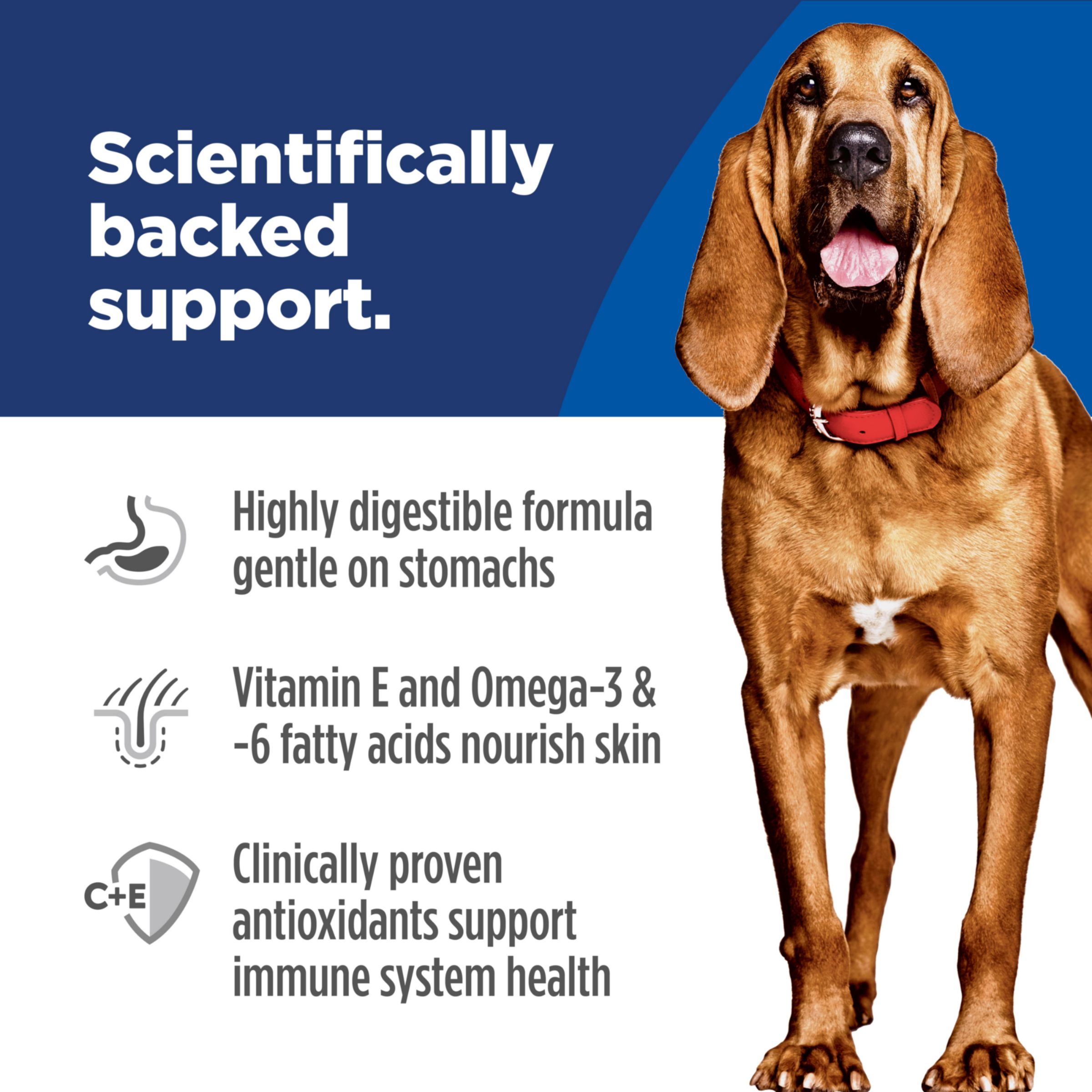 Scientifically backed support: digestible formula, vitamin E and omega fatty acids, antioxidants