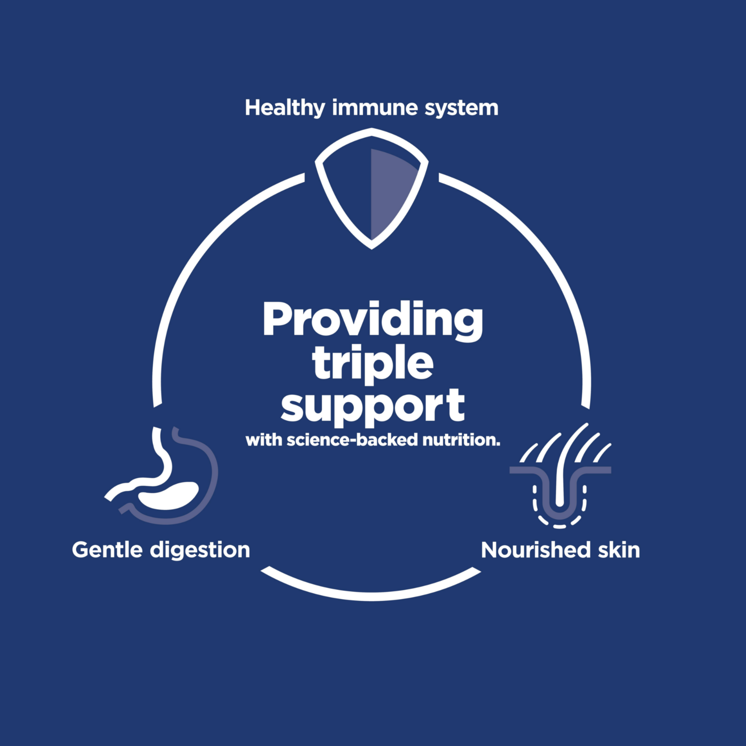 Providing triple support diagram: healthy immune system, gentle digestion and nourished skin