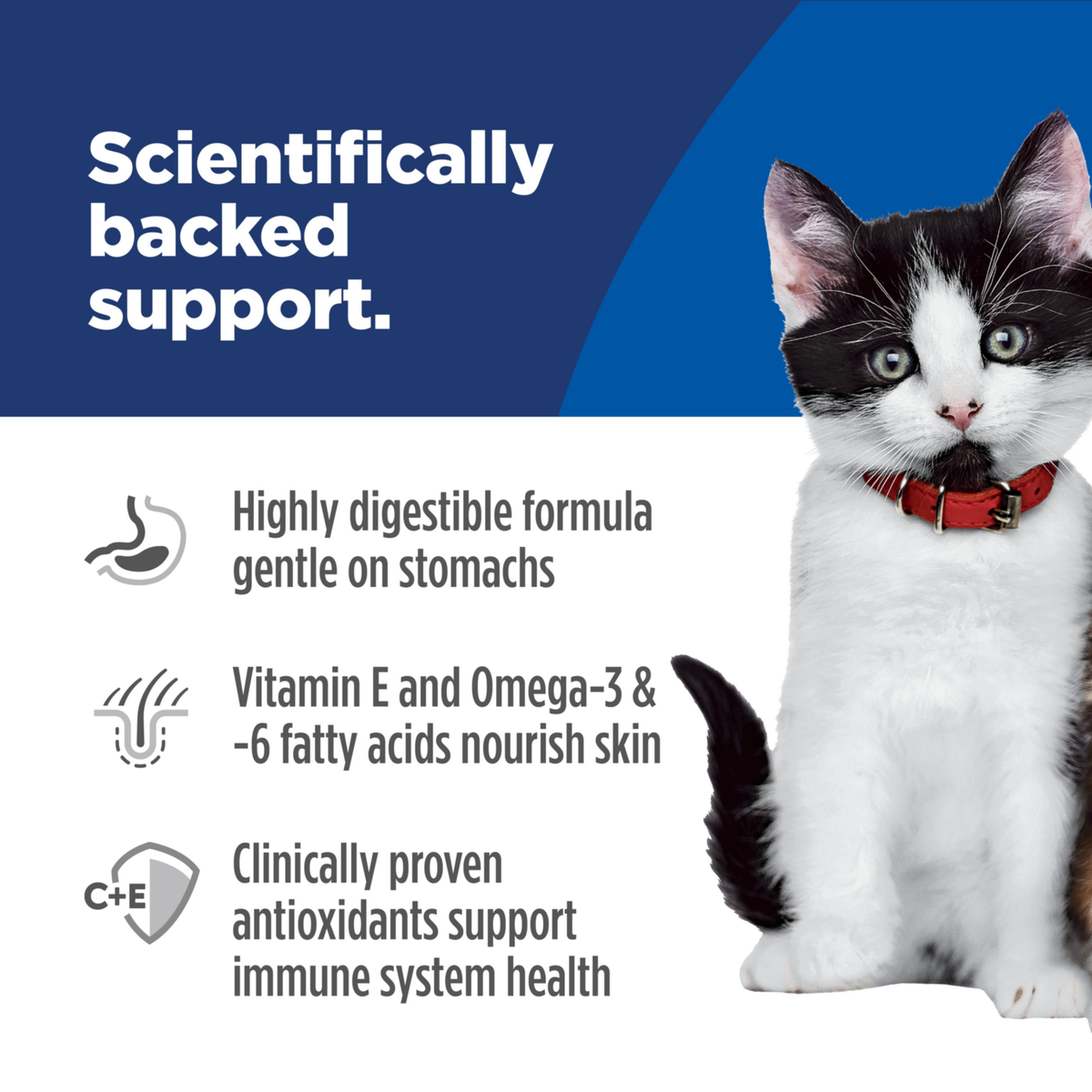 Scientifically backed support: digestible formula, vitamin E and omega fatty acids, antioxidants