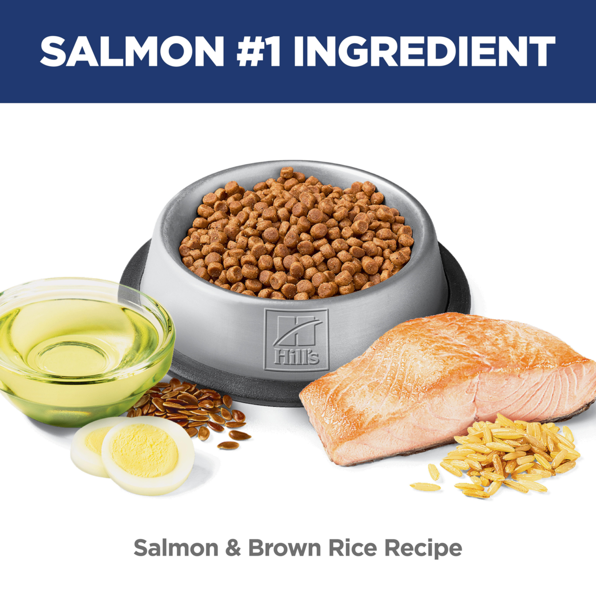 Salmon is the number one ingredient: bowl of Hill's Kitten salmon and brown rice kibble