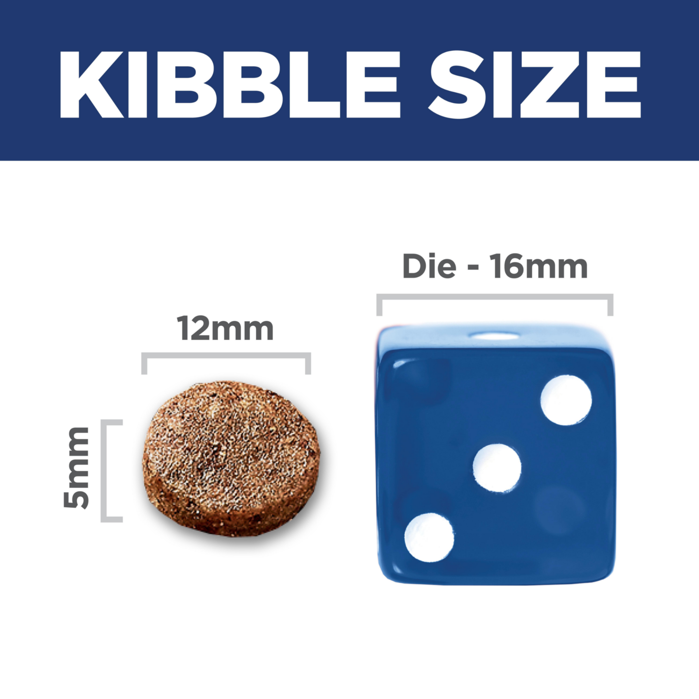 Kibble size comparison: 12mm by 5mm Hill's Adult Sensitive Stomach and Skin kibble beside a 16mm dice