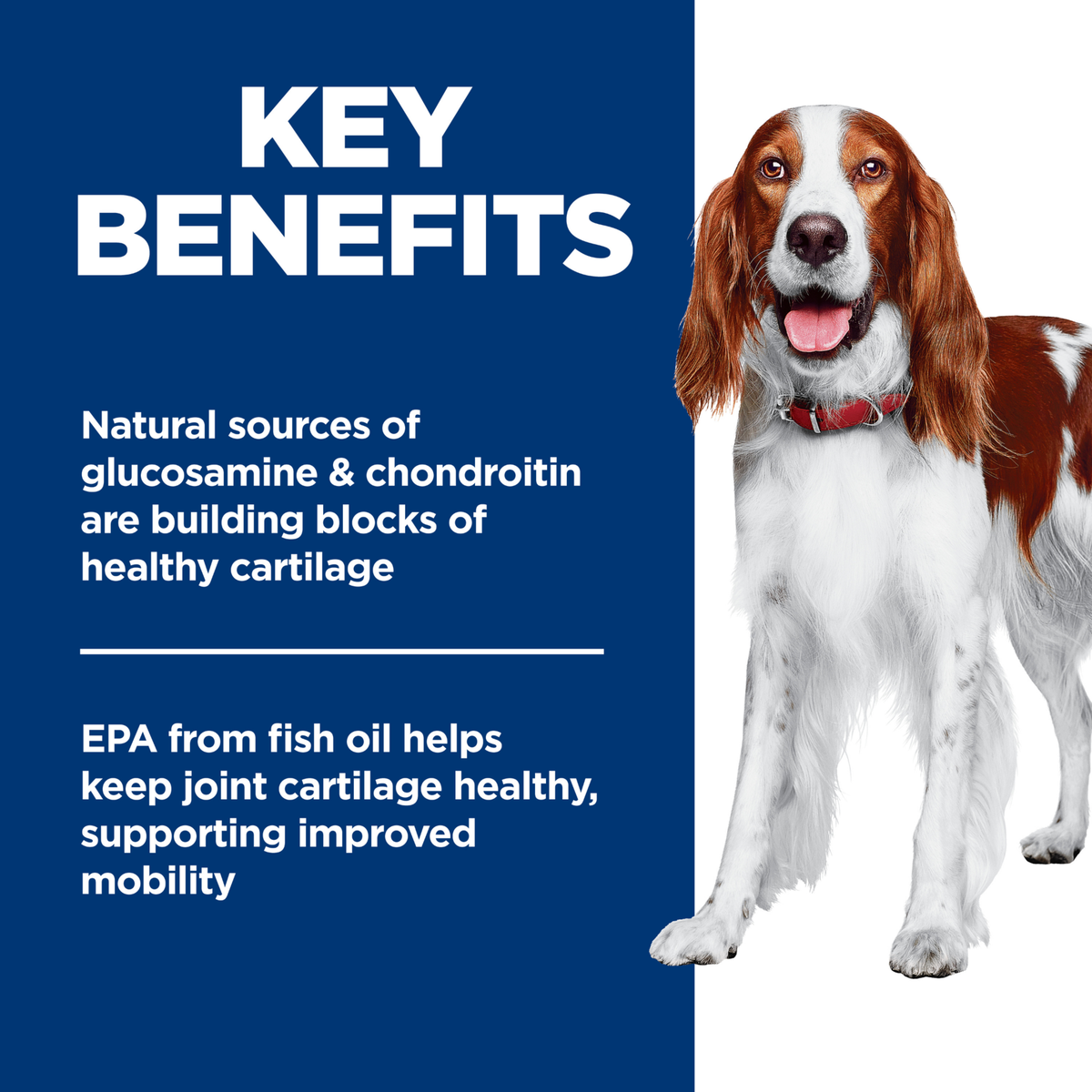 Key benefits panel: glucosamine, chondroitin and EPA from fish oil for joint cartilage and mobility
