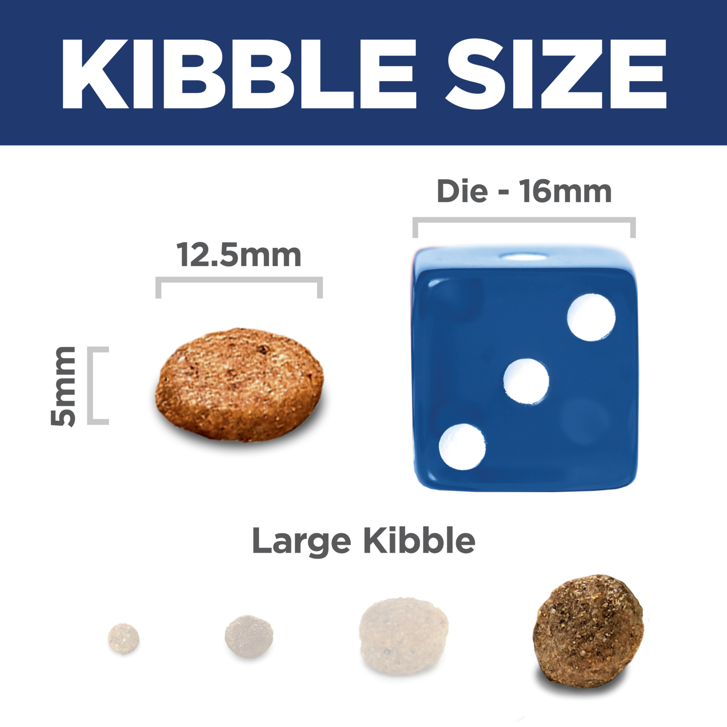 Kibble size comparison: 12.5mm by 5mm Hill's Healthy Mobility dog kibble beside a 16mm dice