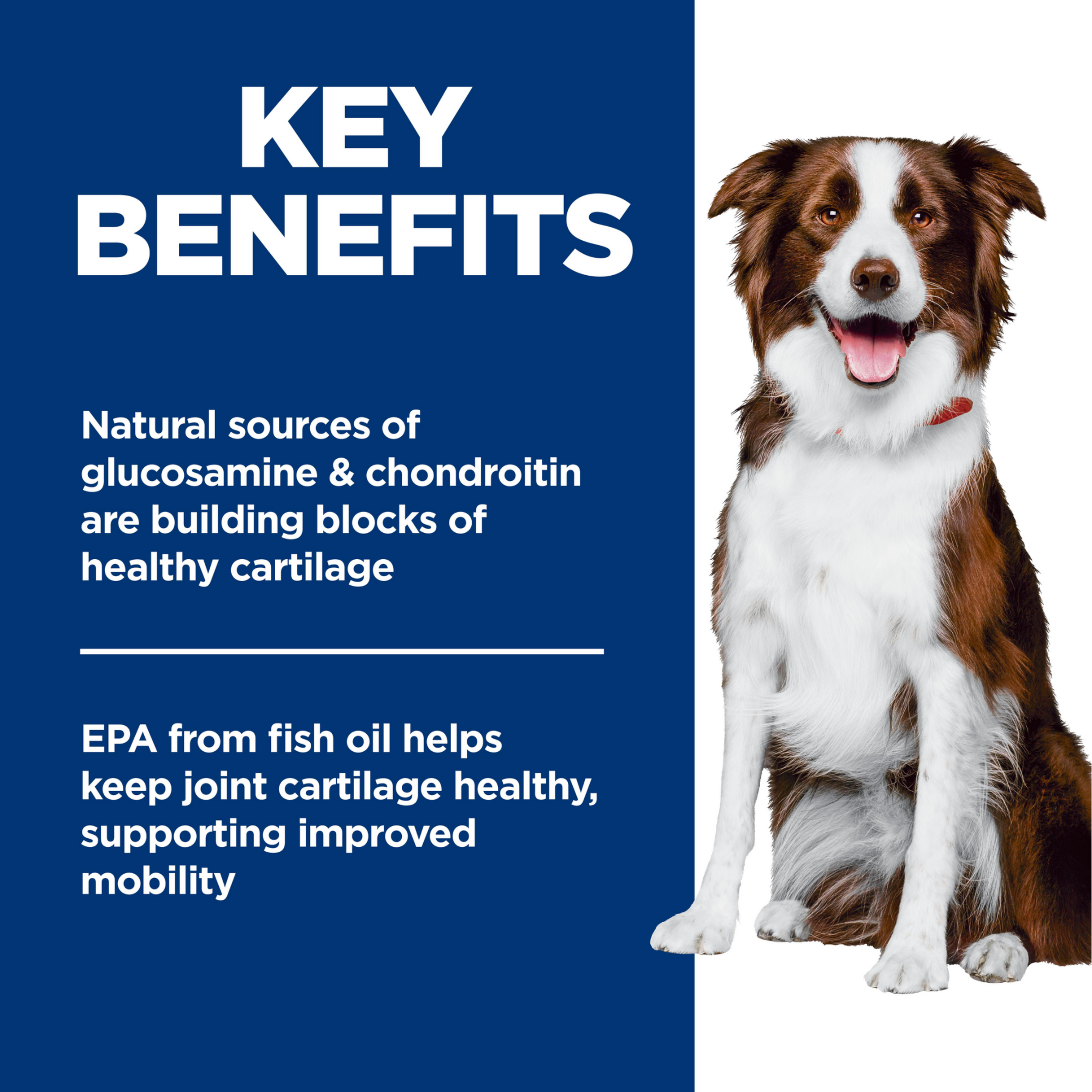 Key benefits panel: glucosamine, chondroitin and EPA from fish oil for joint cartilage and mobility