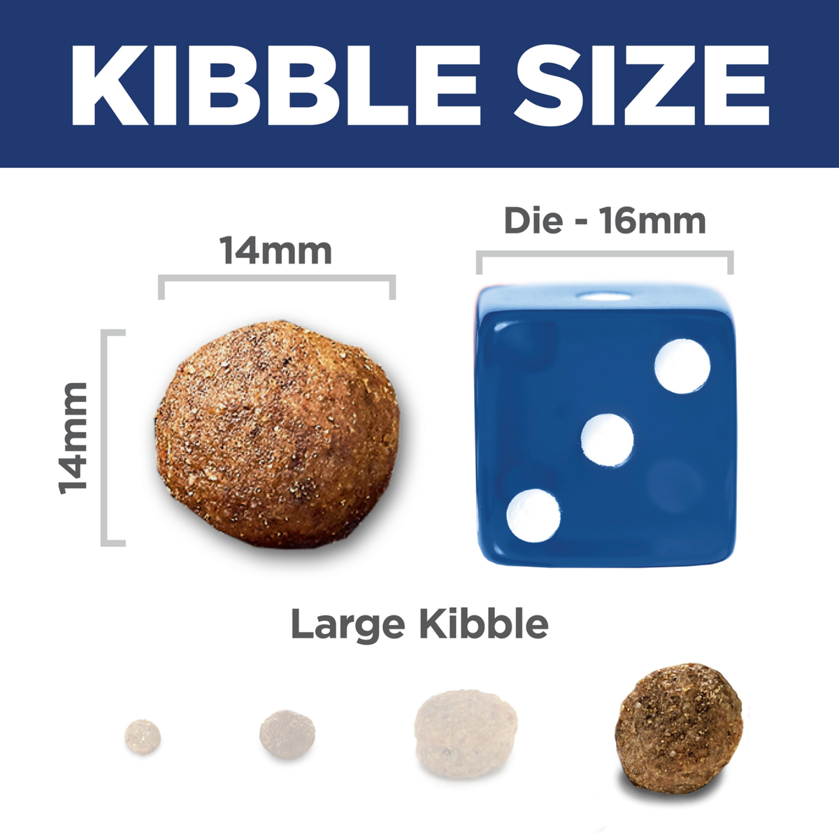 Kibble size comparison: 14mm Hill's Healthy Mobility Large Breed dog kibble beside a 16mm dice