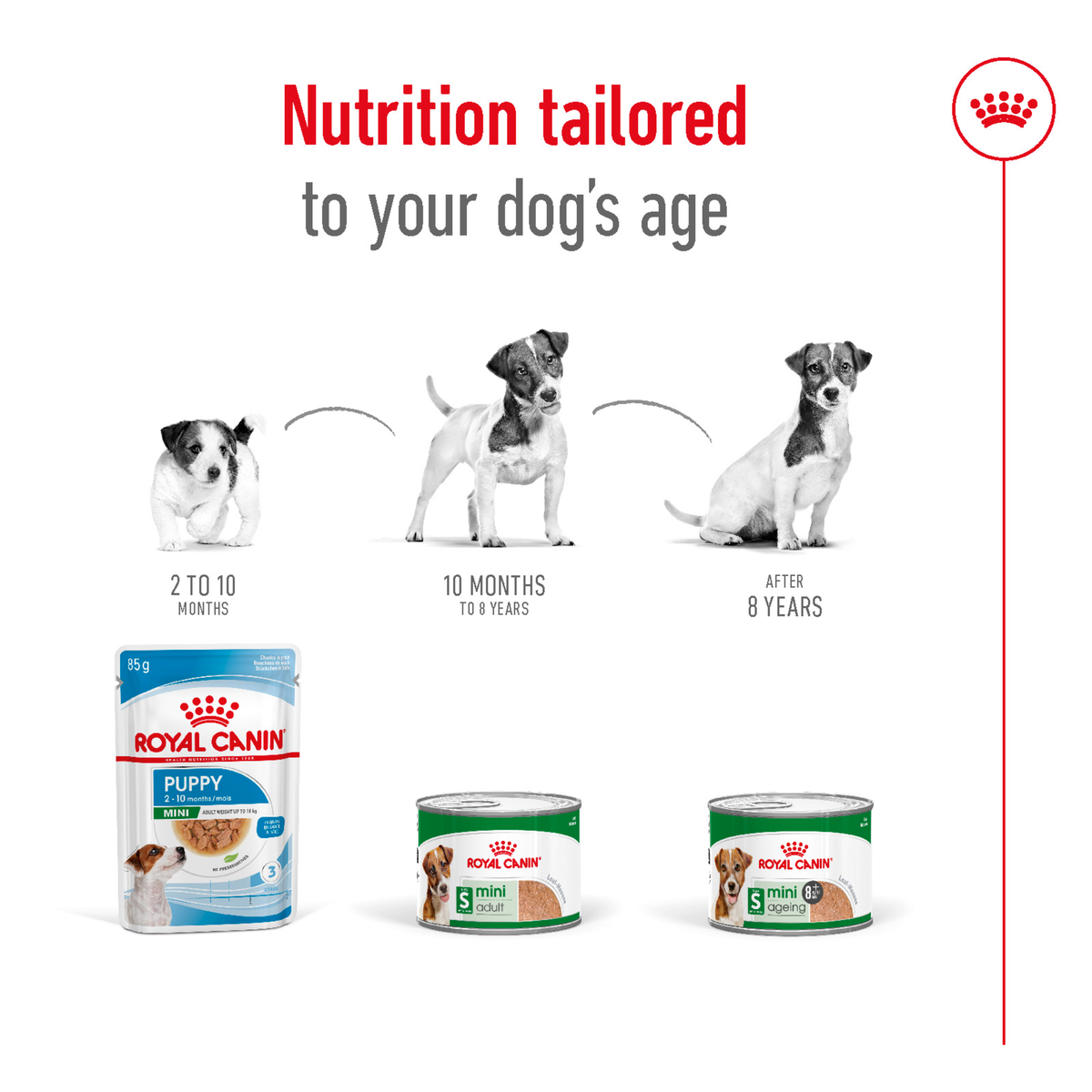 Royal Canin Mini cans and packs shown as nutrition tailored to a dog's age