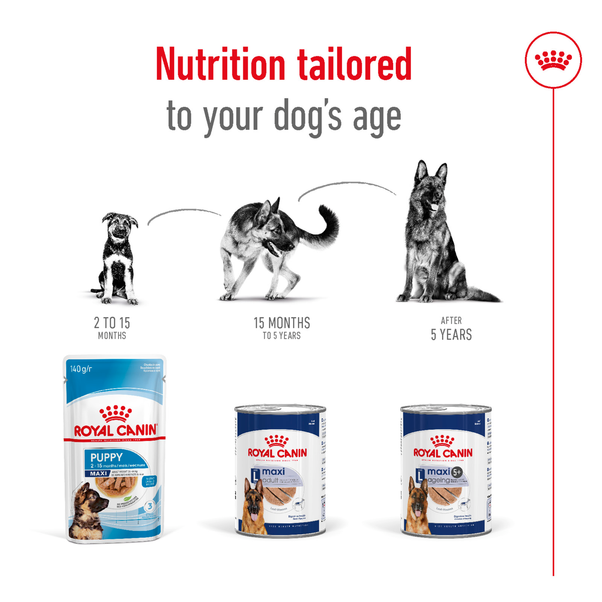 Royal Canin Maxi cans and packs shown as nutrition tailored to a dog's age