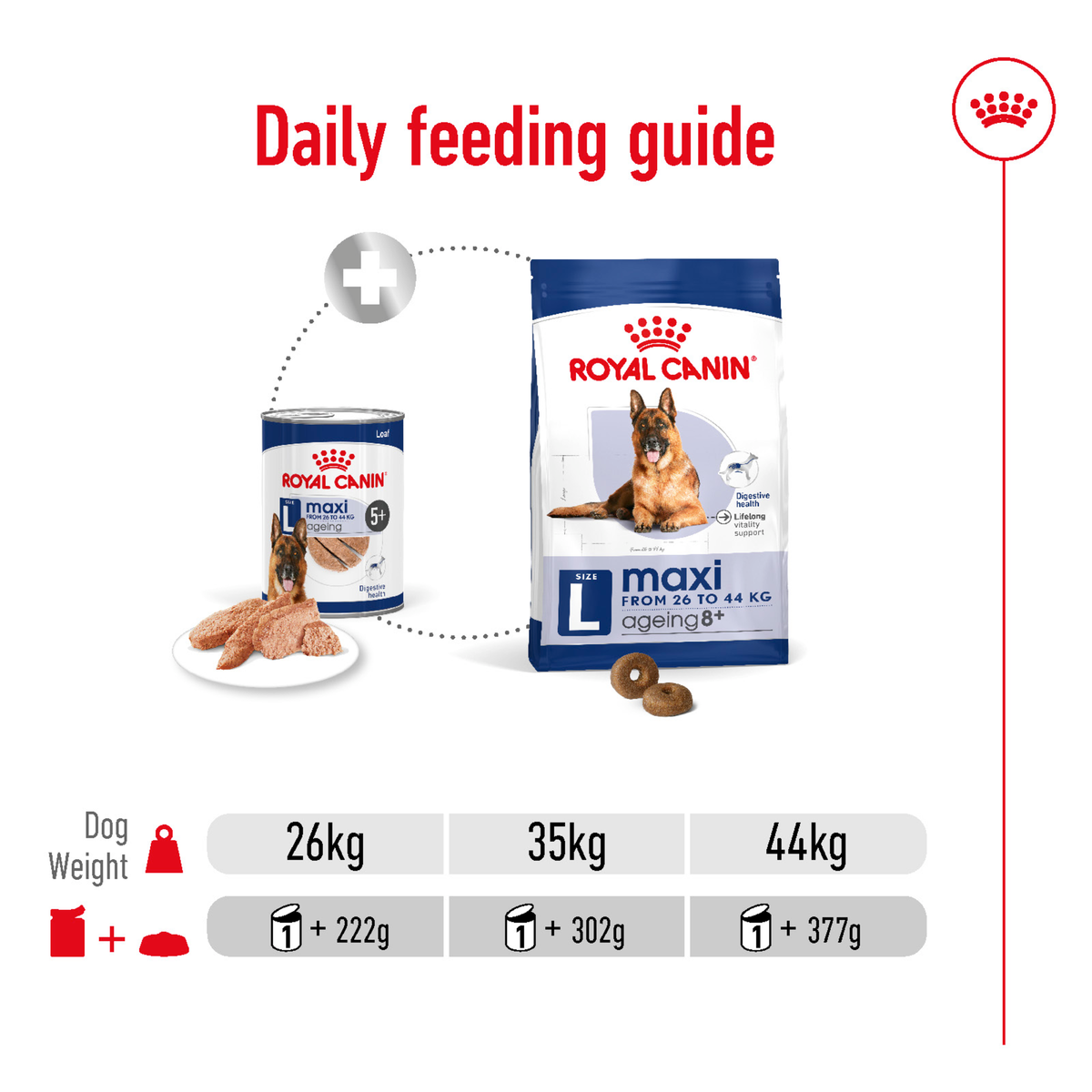 Royal Canin Maxi Ageing 5+ daily feeding guide for 26kg, 35kg and 44kg dogs