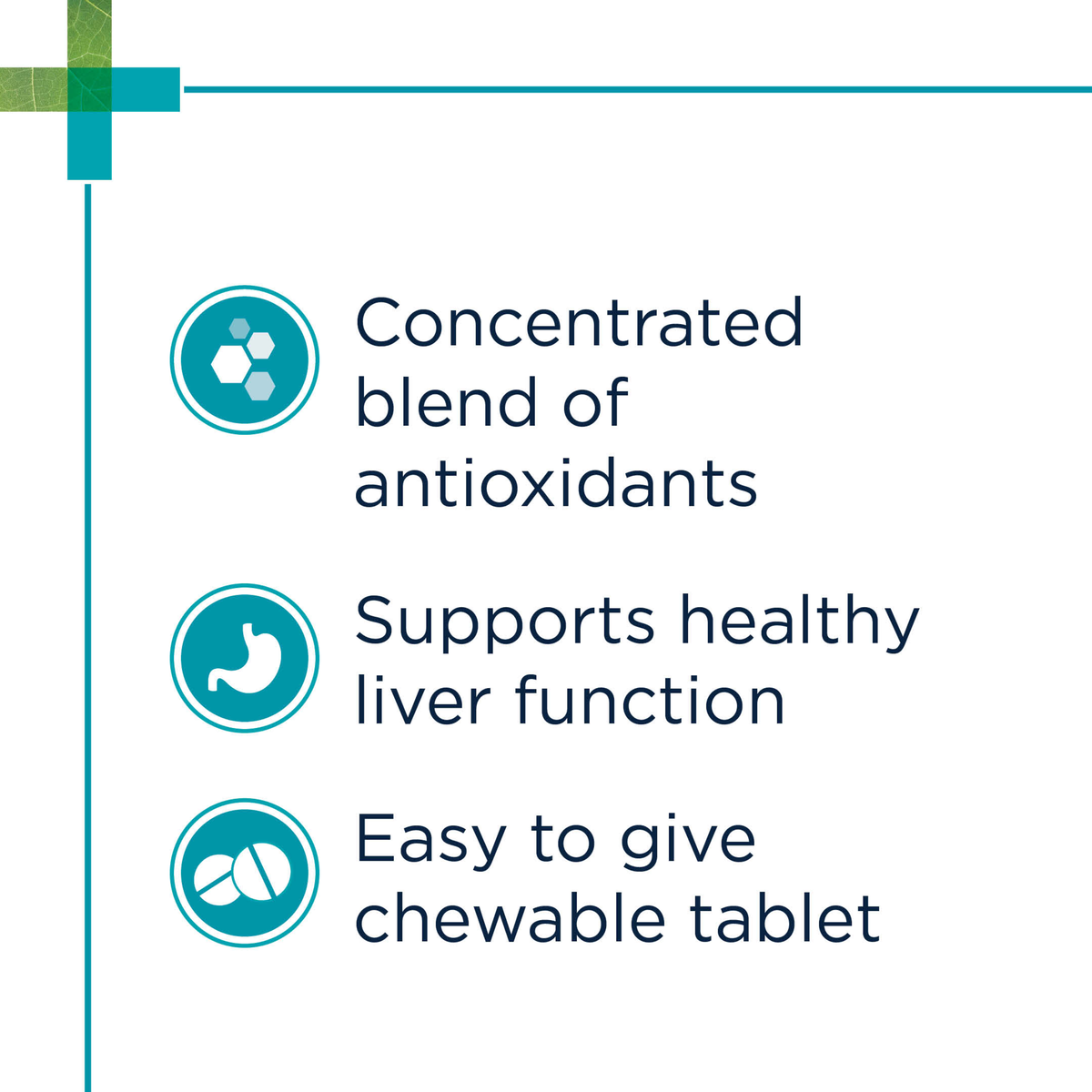 PAW HepatoAdvanced feature panel: concentrated antioxidants, liver function and chewable tablet