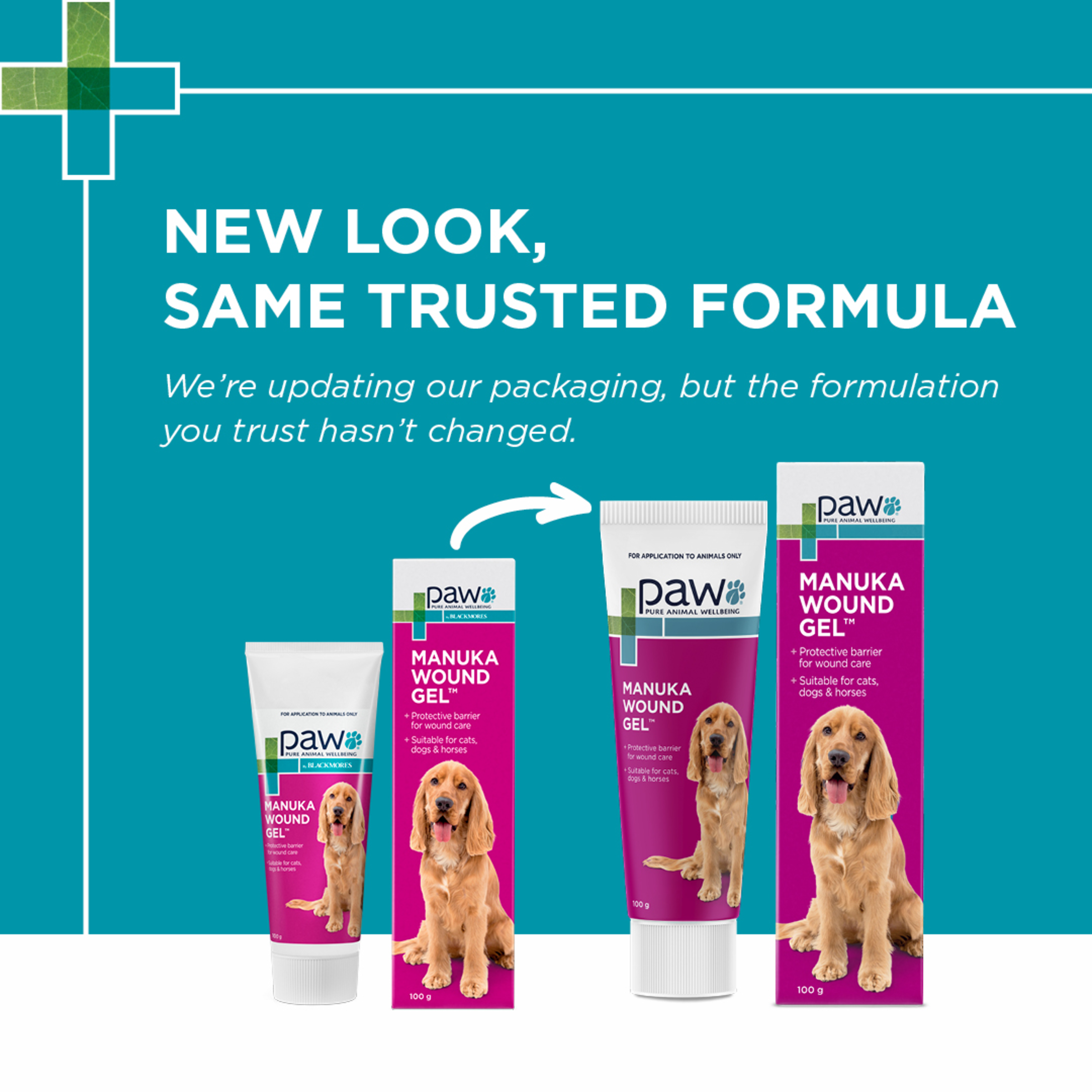 Paw By Blackmores Manuka Wound Gel product detail 1