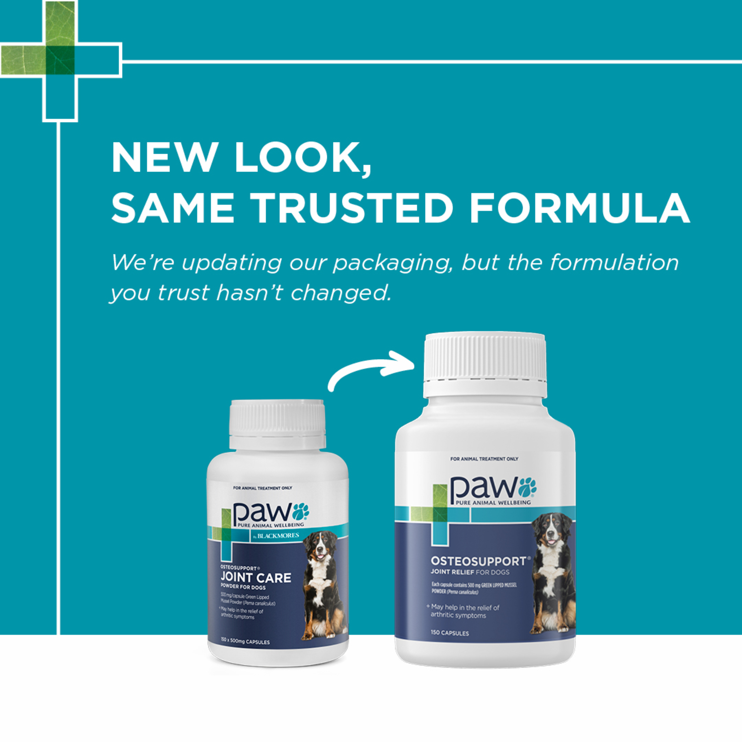 PAW by Blackmores OsteoSupport Joint Care Powder for Dogs product detail 1
