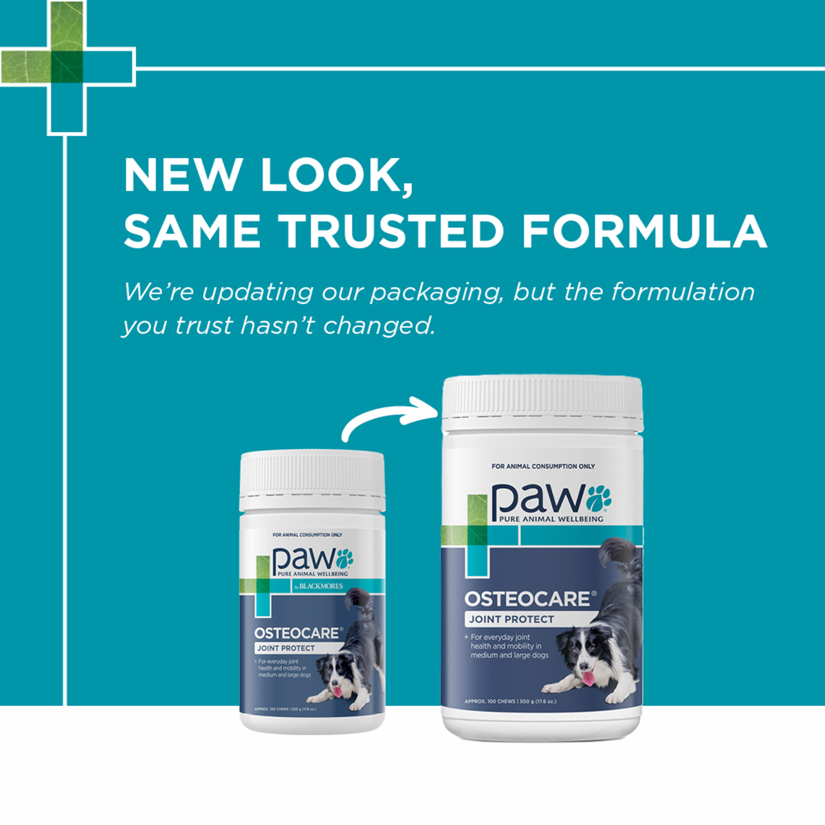 PAW OsteoCare packaging update notice: new look, same trusted formula, old and new tubs