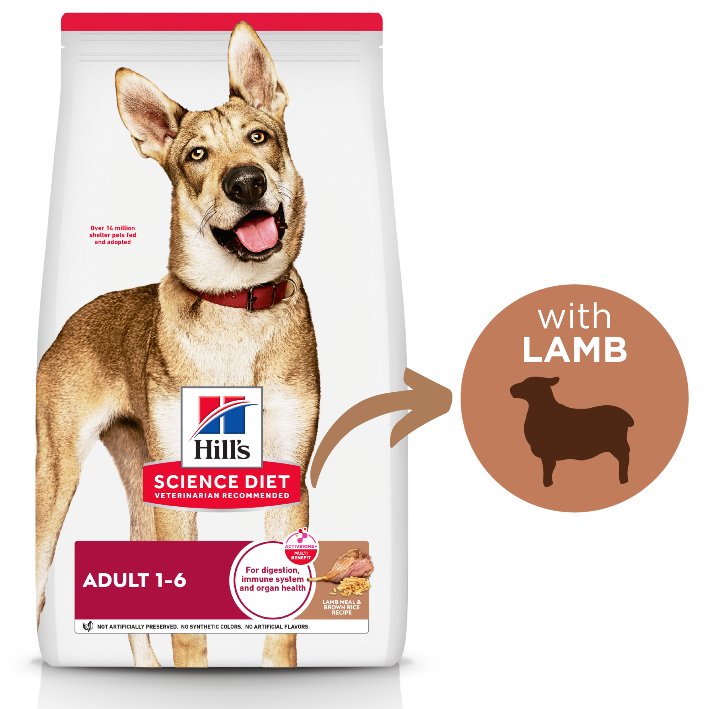 Hill's Science Diet Adult dry dog food bag with a with lamb callout