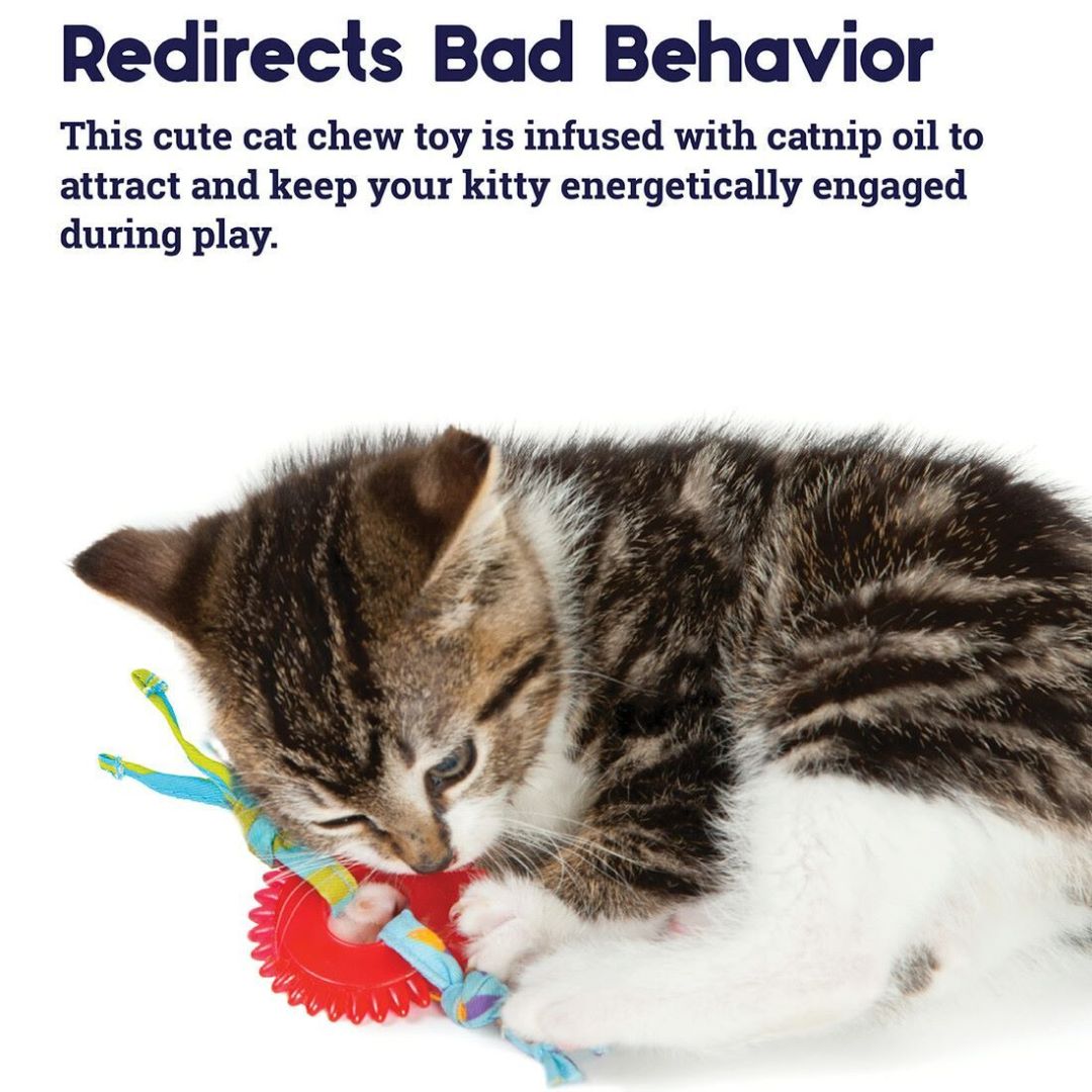 Petstages Kitty Chew Wheel Interactive Textured Cat Toy