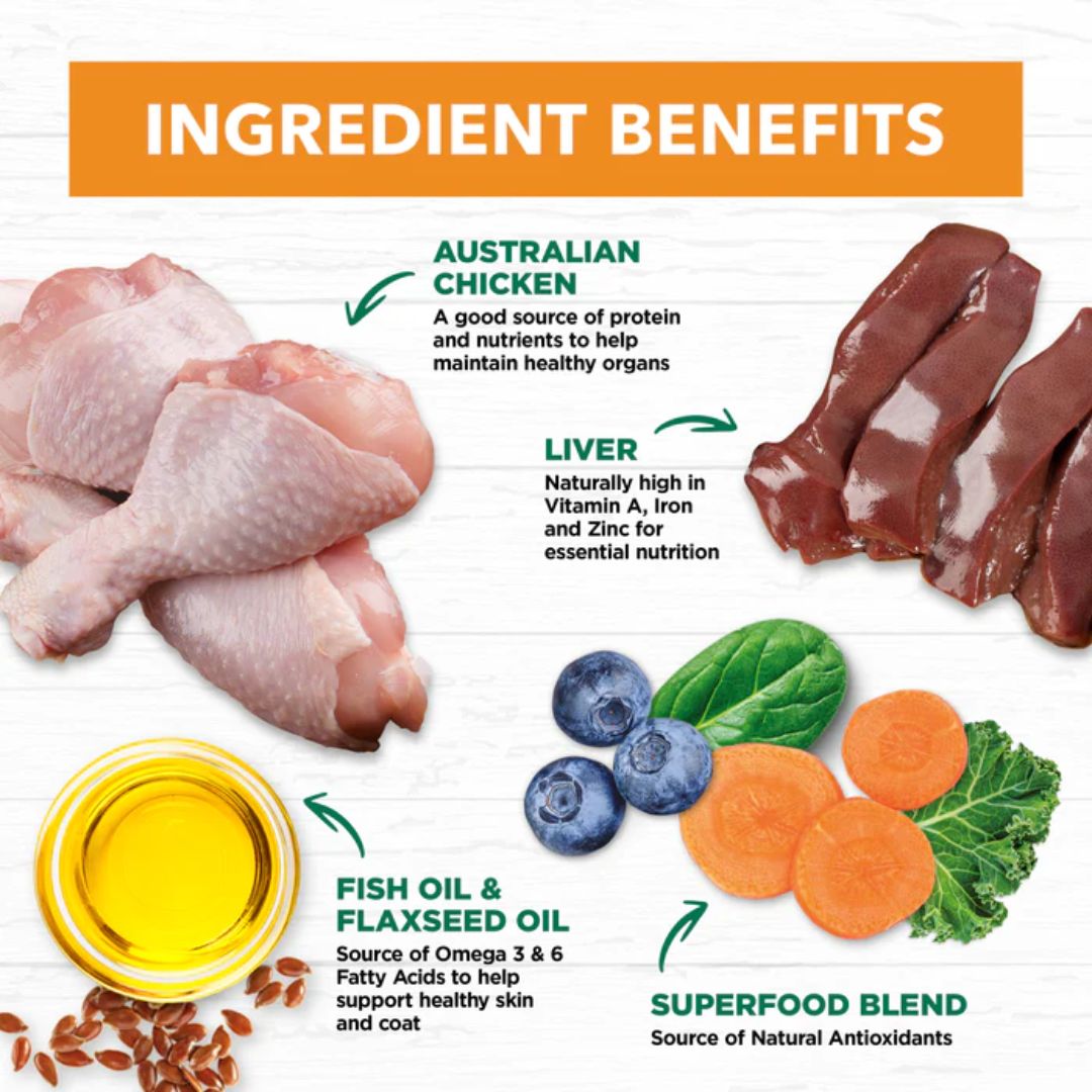 Ivory Coat Grain Free Adult Wet Cat Food Chicken in Gravy