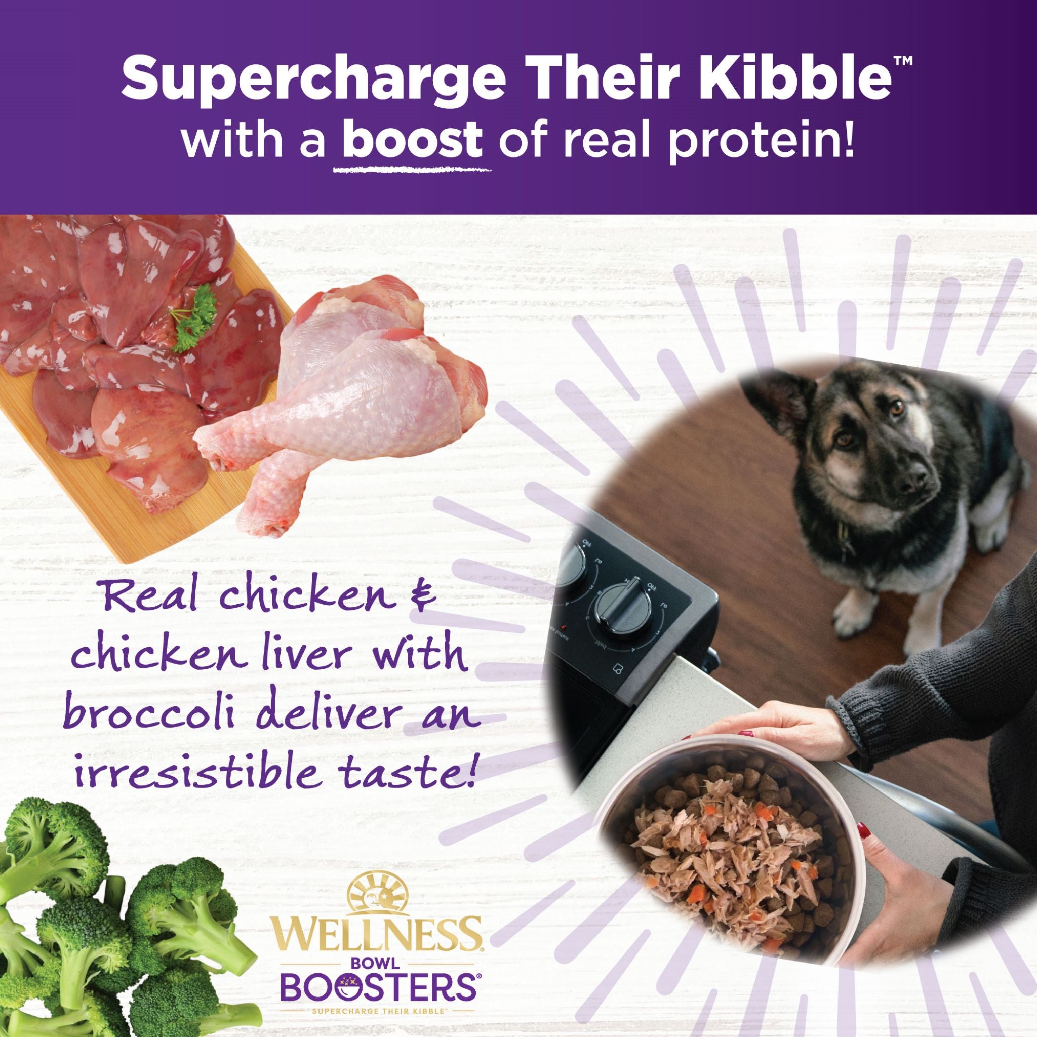 Wellness Core Wet Dog Food Simply Shreds Shredded Boneless Chicken, Chicken Liver & Broccoli