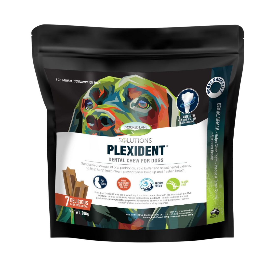 Crooked Lane Plexident Dental Chew For Dogs