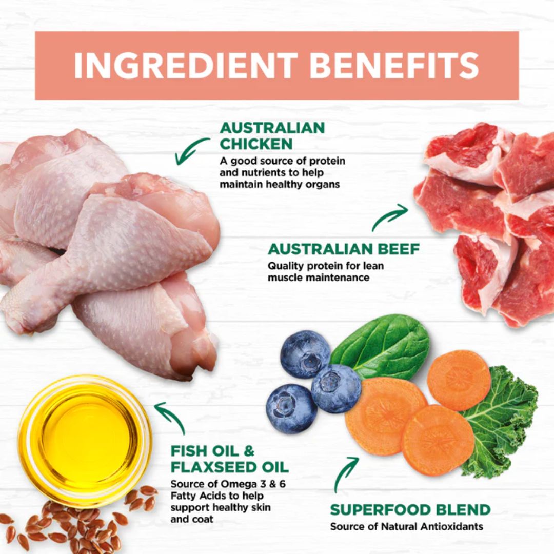 Ivory Coat Grain Free Kitten Wet Food Chicken and Beef in Gravy