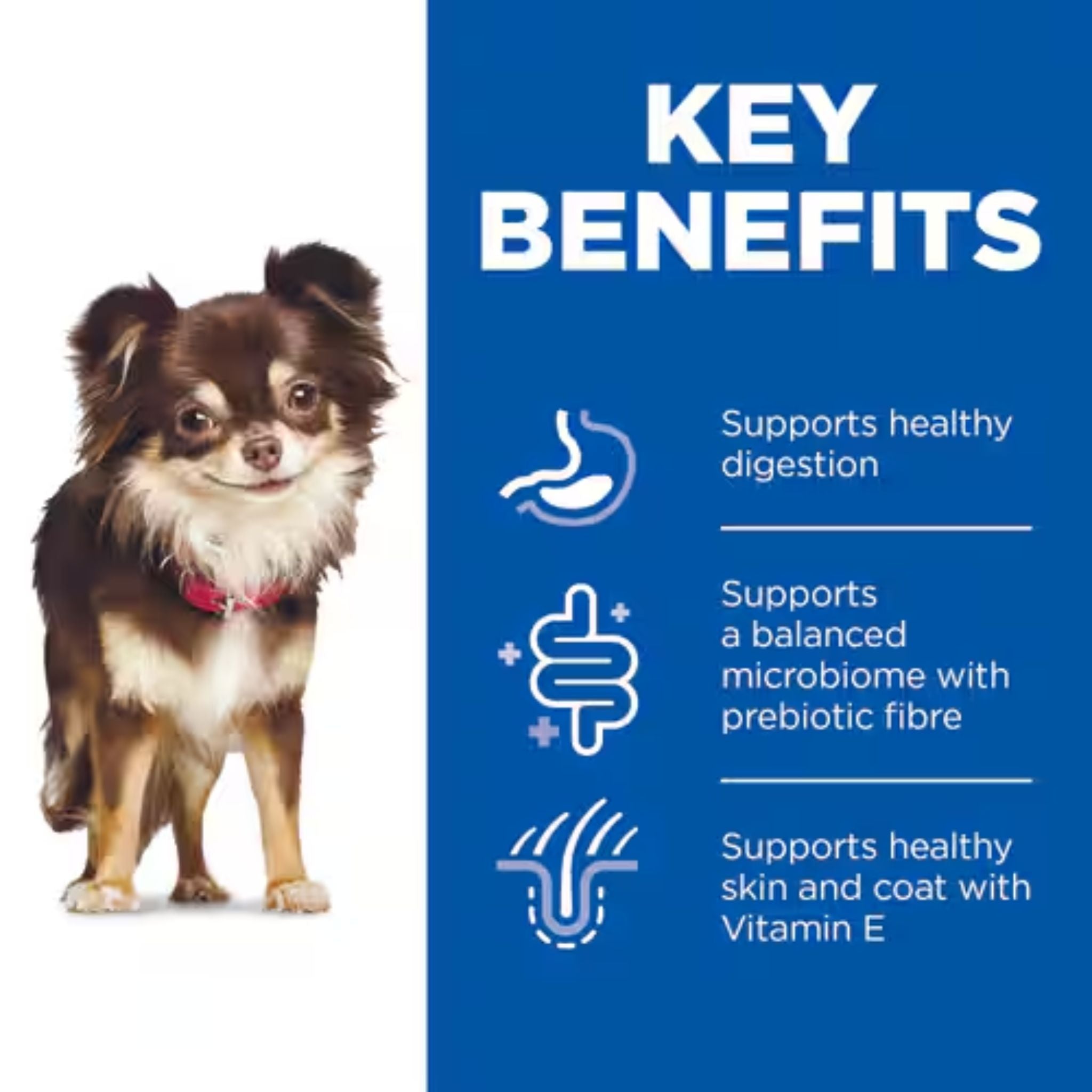 Hill's Science Diet Sensitive Stomach & Skin Adult Small & Mini Breed Dog Mousse with Turkey