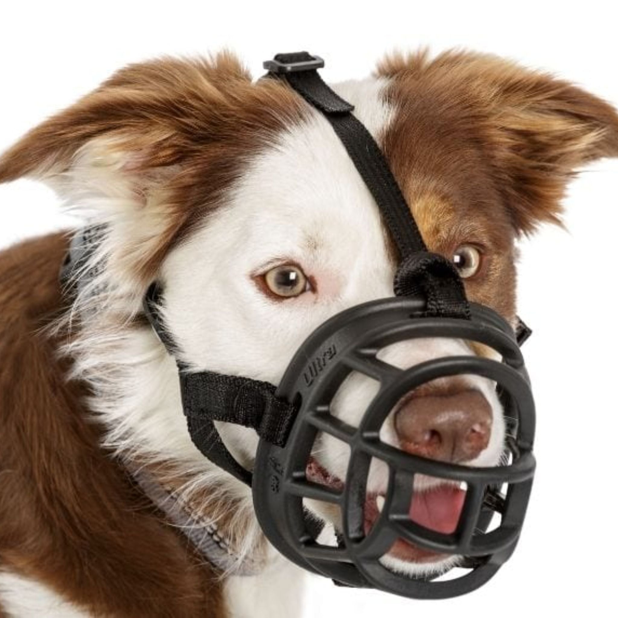 Baskerville Ultra Dog Muzzle Black