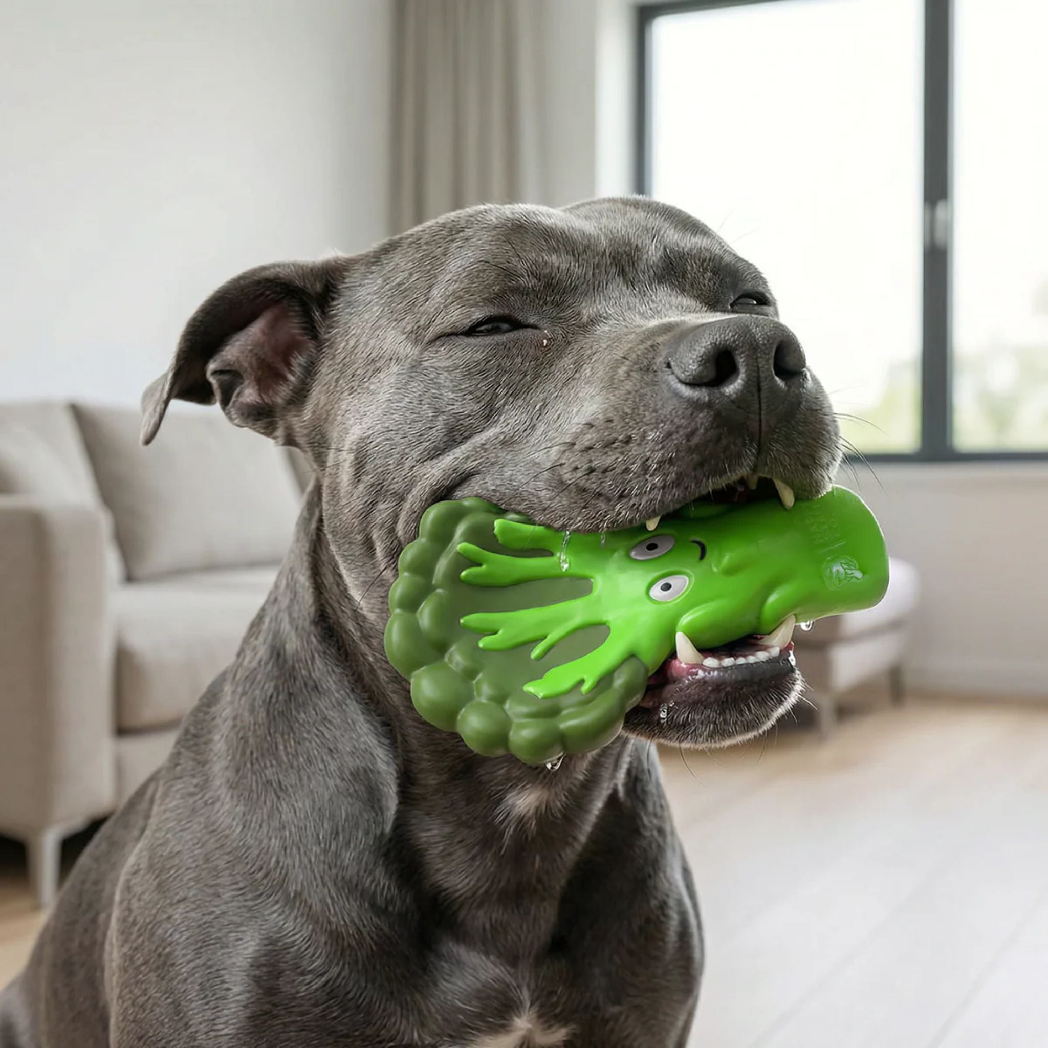 Happy Staffy Co Broccoli Crunch Dog Toy