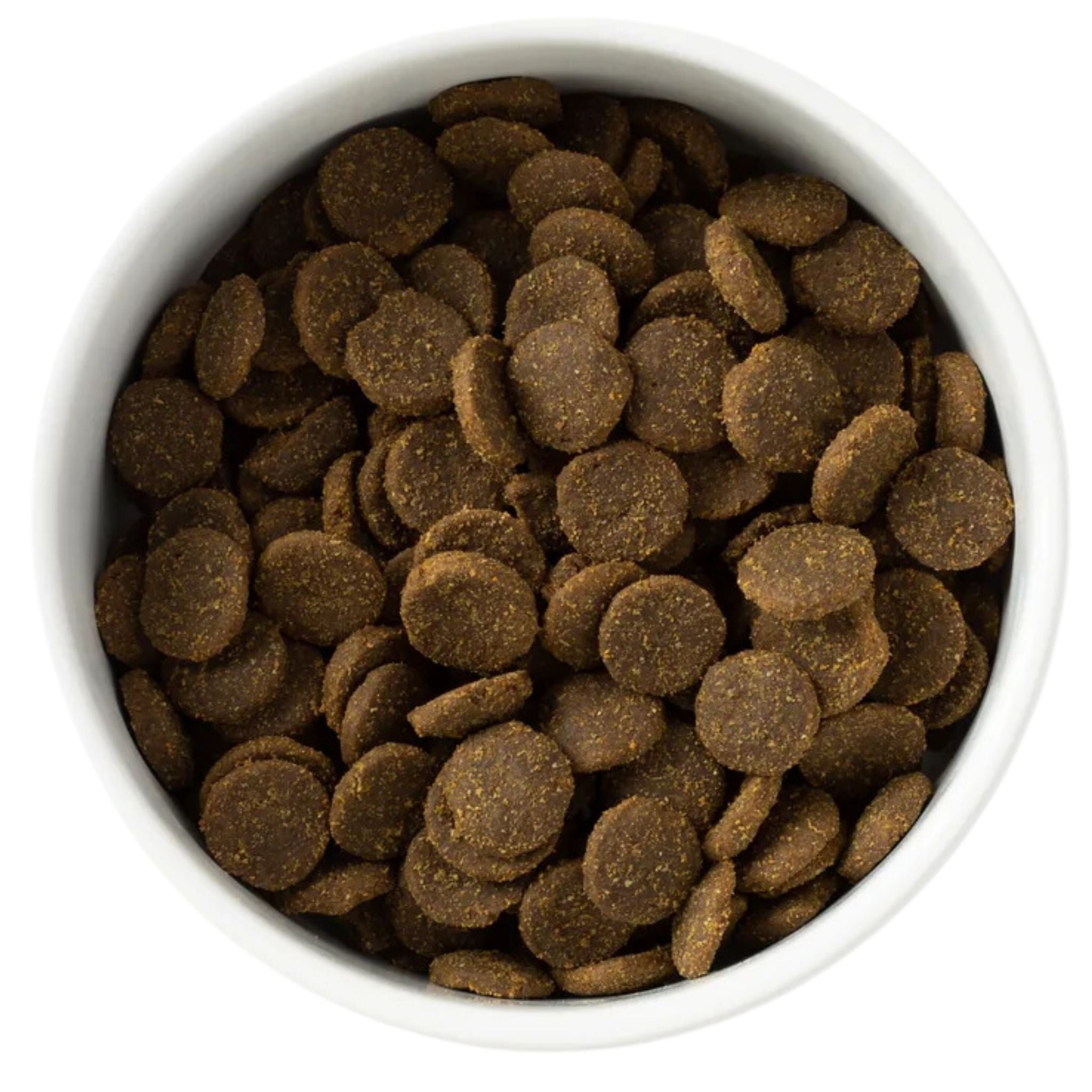 SavourLife Grain Free Large Breed Adult Ocean Fish & Salmon Dry Dog Food