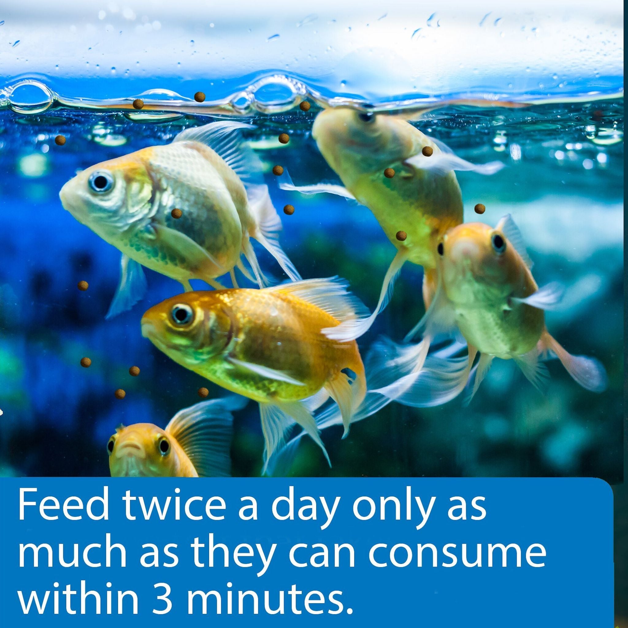 API Goldfish Pellets Sinking